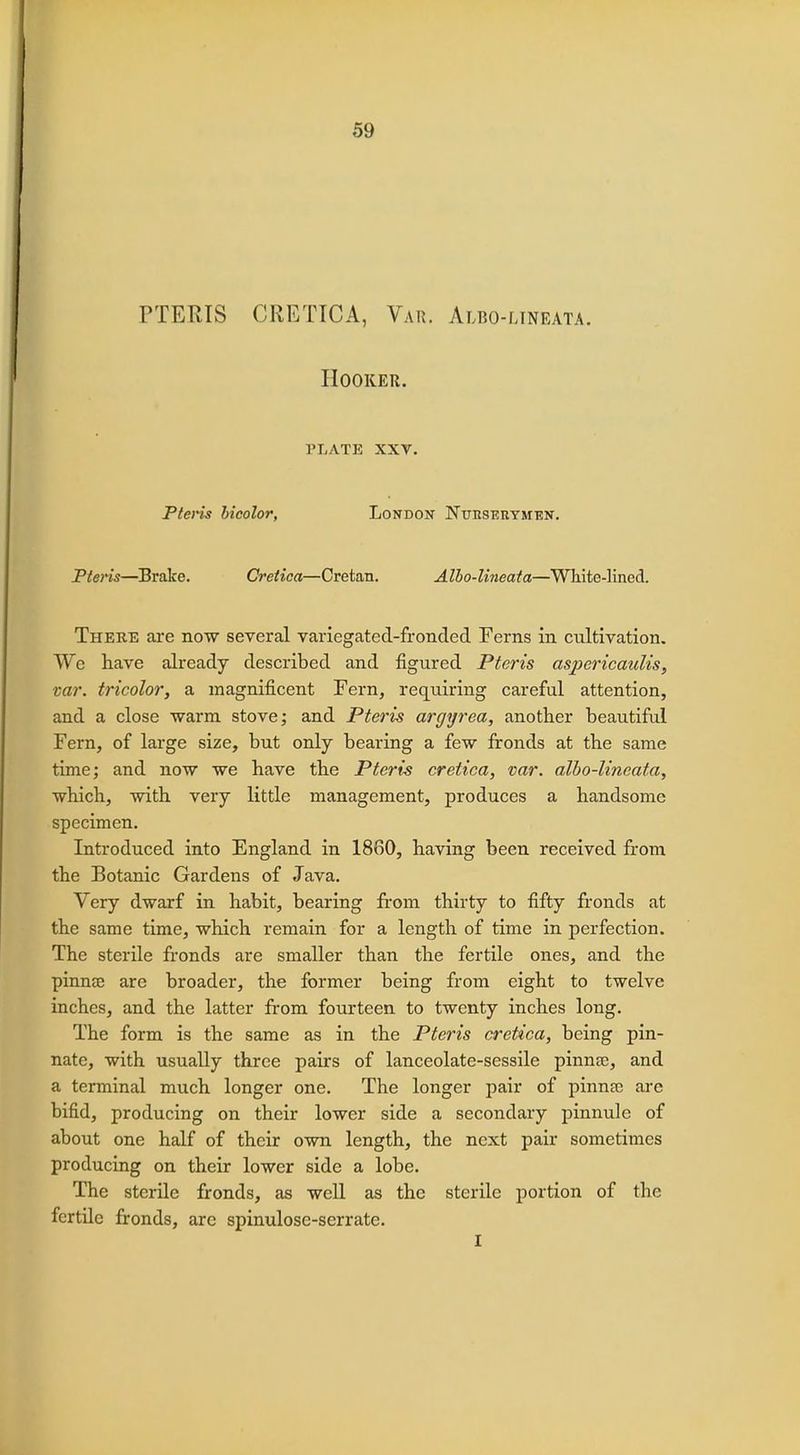 59 PTERTS ORE TIC A, V.vu. Albo-lineata. Hooker. VLATE XXV. Pteris bicolor, London Nurserymen. Pteris—Brake. Cretica—Cretan. Albo-lineata—White-lined. There are now several variegated-fronded Ferns in cultivation. We have already described and figured Pteris aspericaulis, tar. tricolor, a magnificent Fern, requiring careful attention, and a close •warm stove; and Pteris argyrea, another beautiful Fern, of large size, but only bearing a few fronds at the same time; and now we have the Pteris cretica, var. albo-lineata, which, with very little management, produces a handsome specimen. Introduced into England in 1860, having been received from the Botanic Gardens of Java. Very dwarf in habit, bearing from thirty to fifty fronds at the same time, which remain for a length of time in perfection. The sterile fronds are smaller than the fertile ones, and the pinna? are broader, the former being from eight to twelve inches, and the latter from fourteen to twenty inches long. The form is the same as in the Pteris cretica, being pin- nate, with usually three pairs of lanceolate-sessile pinna;, and a terminal much longer one. The longer pair of pinna? are bifid, producing on their lower side a secondary pinnule of about one half of their own length, the next pair sometimes producing on their lower side a lobe. The sterile fronds, as well as the sterile portion of the fertile fronds, are spinulose-serrate. I