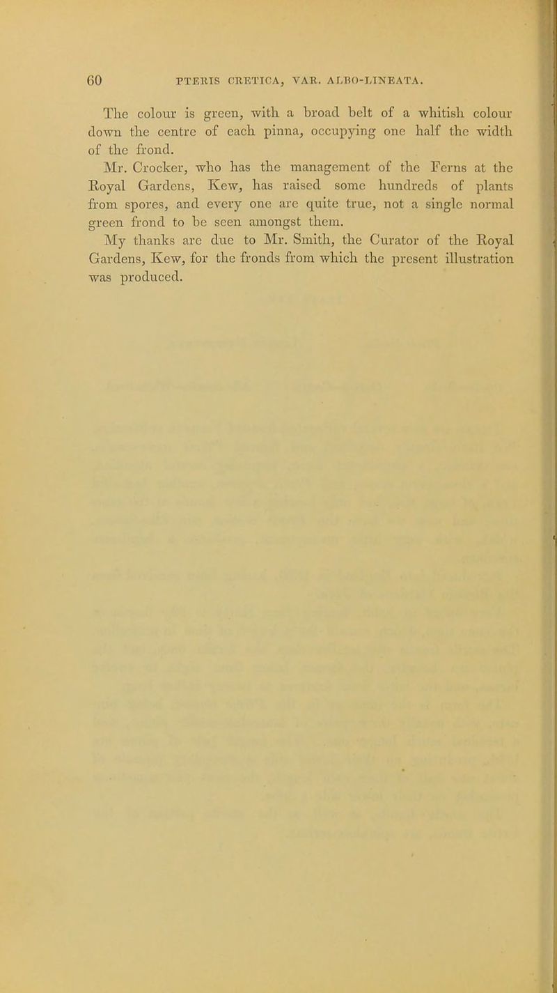 (iO PTEKIS CRETICA, VAR, ALHO-I-INEATA. The colour is green, with a broad belt of a whitish colour down the centre of each pinna, occupying one half the width of the frond. Mr. Crocker, who has the management of the Ferns at the Royal Gardens, Kew, has raised some hundreds of plants from spores, and every one are quite true, not a single normal green frond to be seen amongst them. My thanks arc due to Mr. Smith, the Curator of the Royal Gardens, Kew, for the fronds from which the present illustration was produced.