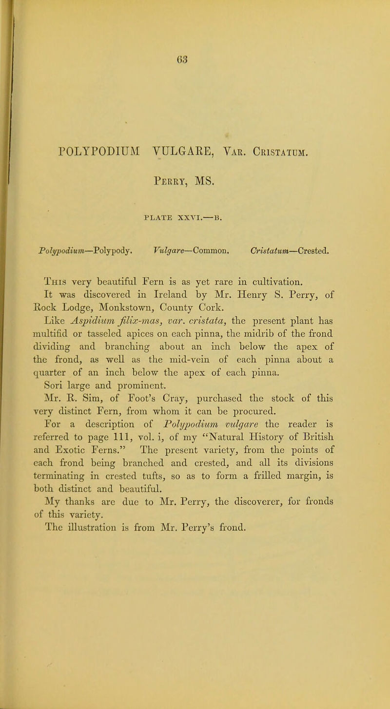 (53 POLYPODIUM VULGARE, Var. Ciustatum. Perry, MS. PLATE XXVI.— B. Polypodium—Polypody. Vulgare—Common. Cristatum—Crested. This very beautiful Fern is as yet rare in cultivation. It was discovered in Ireland by Mr. Henry S. Perry, of Rock Lodge, Monkstown, County Cork. Like Aspidium filix-mas, var. cristata, the present plant has multifid or tasseled apices on each pinna, the midrib of the frond dividing and branching about an inch below the apex of the frond, as well as the mid-vein of each pinna about a quarter of an inch below the apex of each pinna. Sori large and prominent. Mr. R. Sim, of Foot's Cray, purchased the stock of this very distinct Fern, from whom it can be procured. For a description of Polj/podi-um vulgare the reader is referred to page 111, vol. i, of my Natural History of British and Exotic Ferns. The present variety, from the points of each frond being branched and crested, and all its divisions terminating in crested tufts, so as to form a frilled margin, is both distinct and beautiful. My thanks are due to Mr. Perry, the discoverer, for fronds of this variety. The illustration is from Mr. Perry's frond.