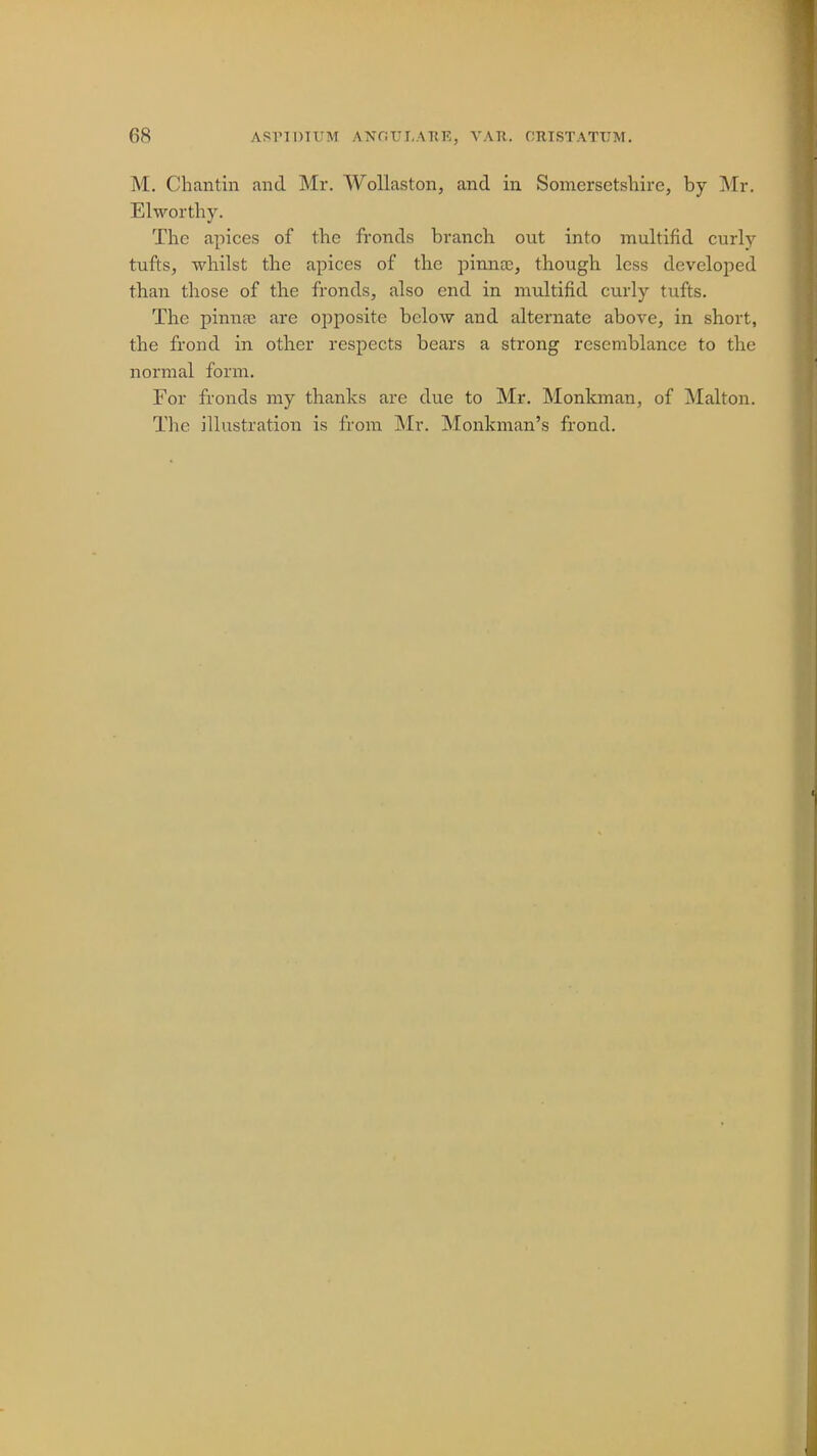 M. Chantin and Mr. Wollaston, and in Somersetshire, by Mr. Elworthy. The apices of the fronds branch out into multifid curly tufts, whilst the apices of the pinna;, though less developed than those of the fronds, also end in multifid curly tufts. The pinnrc are opposite below and alternate above, in short, the frond in other respects bears a strong resemblance to the normal form. For fronds my thanks are due to Mr. Monkman, of Malton.