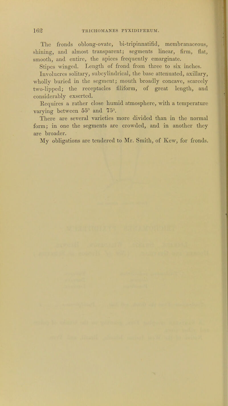 The fronds oblong-ovate, bi-tripinnatifid, membranaceous, shining, and almost transparent; segments linear, firm, flat, smooth, and entire, the apices frequently emarginate. Stipes winged. Length of frond from three to six inches. Involucres solitary, subcylindrical, the base attenuated, axillary, wholly buried in the segment; mouth broadly concave, scarcely two-lipped; the receptacles filiform, of great length, and considerably exsertcd. Requires a rather close humid atmosphere, with a temperature varying between 55° and 75°. There are several varieties more divided than in the normal form; in one the segments are crowded, and in another they are broader.