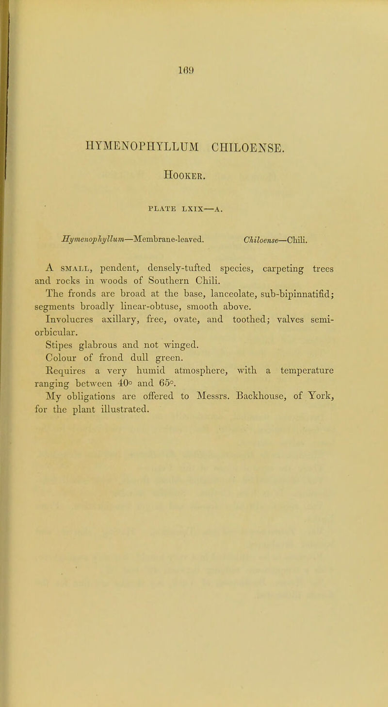 189 I1YMEN0PHYLLUM CIIILOENSE. Hooker. PLATE LXIX—A. Hymenophylhim—Membrane-leaved. Chiloense—Chili. A small, pendent, densely-tufted species, carpeting trees and rocks in woods of Southern Chili. The fronds are broad at the base, lanceolate, sub-bipinnatifid; segments broadly linear-obtuse, smooth above. Involucres axillary, free, ovate, and toothed; valves semi- orbicular. Stipes glabrous and not winged. Colour of frond dull green. Requires a very humid atmosphere, with a temperature ranging between 40° and 65°. My obligations are offered to Messrs. Backhouse, of York, for the plant illustrated.