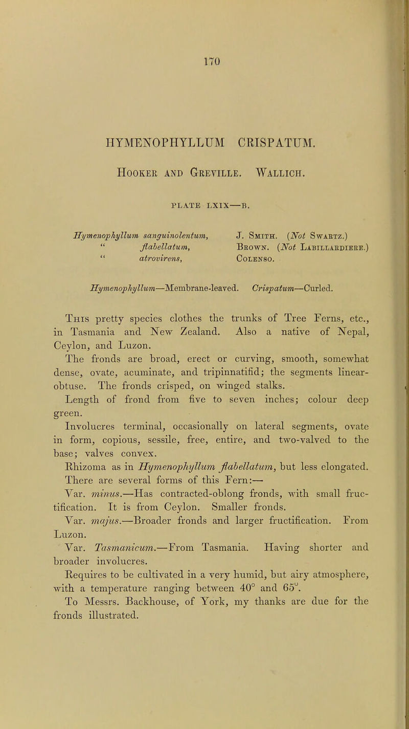 HYMENOPHYLLUM CRISPATUM. Hooker and Greville. Wallich. PLATE LXIX—B. Hymenophyllum sanguinolentum, J. Smith. {Not Swaetz.)  flabellatum, Bhown. {Not Labillaediebe.)  atrovirens, Colenso. Hymenophyllum—Membrane-leaved. Crispatum—Curled. This pretty species clothes the trunks of Tree Ferns, etc., in Tasmania and New Zealand. Also a native of Nepal, Ceylon, and Luzon. The fronds are broad, erect or curving, smooth, somewhat dense, ovate, acuminate, and tripinnatifid; the segments linear- obtuse. The fronds crisped, on winged stalks. Length of frond from five to seven inches; colour deep green. Involucres terminal, occasionally on lateral segments, ovate in form, copious, sessile, free, entire, and two-valved to the base; valves convex. Rhizoma as in Hymenophyllum flabellatum, but less elongated. There are several forms of this Fern:— Var. minus.—Has contracted-oblong fronds, with small fruc- tification. It is from Ceylon. Smaller fronds. Var. majus.—Broader fronds and larger fructification. From Luzon. Var. Tasmanicum.—From Tasmania. Having shorter and broader involucres. Requires to be cultivated in a very humid, but airy atmosphere, with a temperature ranging between 40° and 65°. To Messrs. Backhouse, of York, my thanks are due for the fronds illustrated.