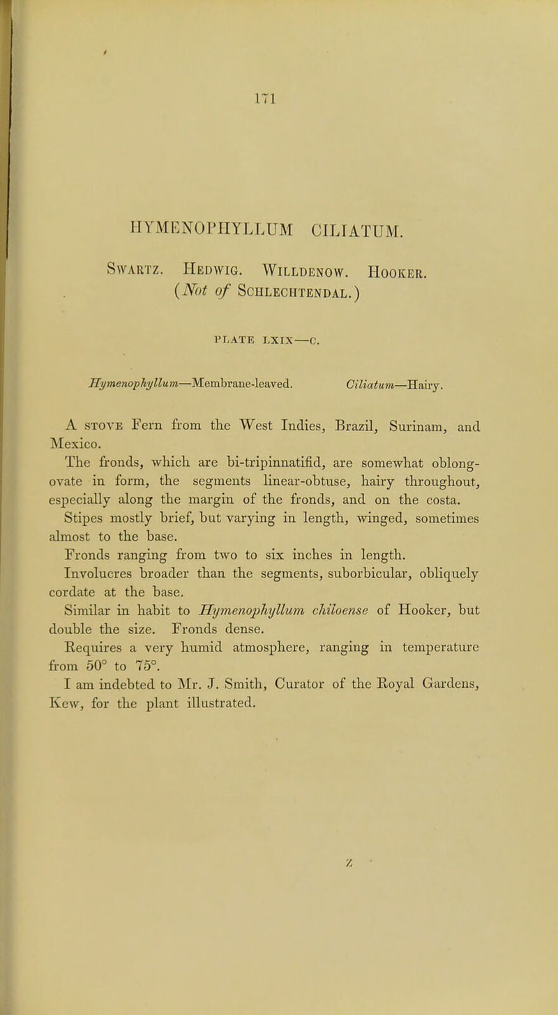 HYMENOPHYLLUM OILIATUM. Swartz. Hedwig. Willdenow. Hooker. (Not of Schleciitendal.) TT.ATE LXIX—c. Hymenophyllum—Membrane-leaved. Ciliatum—Hairy. A stove Fern from the West Indies, Brazil, Surinam, and Mexico. The fronds, which are bi-tripinnatifid, are somewhat oblong- ovate in form, the segments linear-obtuse, hairy throughout, especially along the margin of the fronds, and on the costa. Stipes mostly brief, but varying in length, winged, sometimes almost to the base. Fronds ranging from two to six inches in length. Involucres broader than the segments, suborbicular, obliquely cordate at the base. Similar in habit to Hymenophyllum chiioense of Hooker, but double the size. Fronds dense. Requires a very humid atmosphere, ranging in temperature from 50° to 75°. I am indebted to Mr. J. Smith, Curator of the Royal Gardens, Kcw, for the plant illustrated.