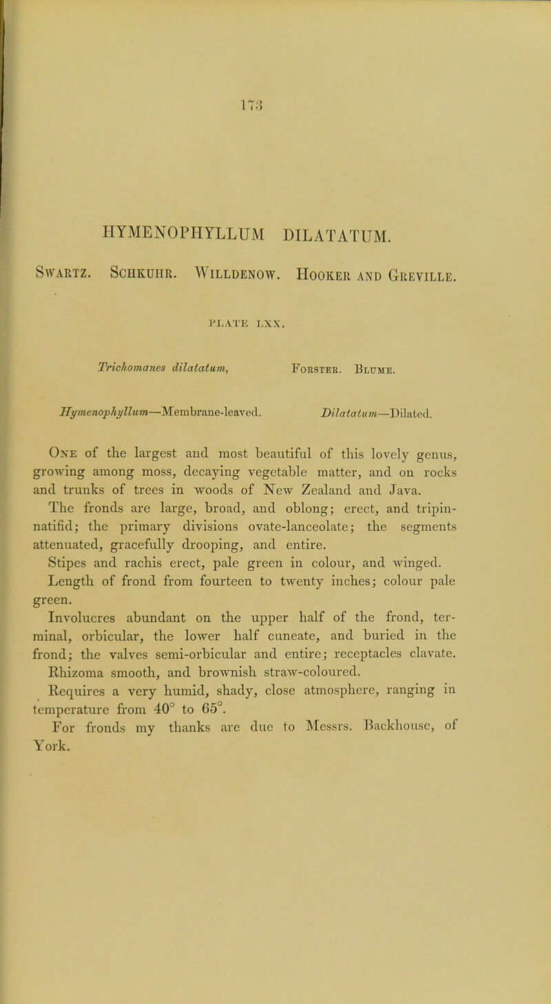 HYMENOPHYLLUM DILATATUM. SWARTZ. SCHKUHR. WlLLDENOW. HOOKER AND GrREVILLE. PLATE J.XX. Trichomanes dilatatum, Forstek. Blume. Hymenophyllum—Membrane-leaved. Dilatatum—Dilated. One of the largest and most beautiful of this lovely genus, growing among moss, decaying vegetable matter, and on rocks and trunks of trees in woods of New Zealand and Java. The fronds are large, broad, and oblong; erect, and tripin- natifid; the primary divisions ovate-lanceolate; the segments attenuated, gracefully drooping, and entire. Stipes and rachis erect, pale green in colour, and winged. Length of frond from fourteen to twenty inches; colour pale green. Involucres abundant on the upper half of the frond, ter- minal, orbicular, the loAver half cuneate, and buried in the frond; the valves semi-orbicular and entire; receptacles clavate. Rhizoma smooth, and brownish straw-coloured. Requires a very humid, shady, close atmosphere, ranging in temperature from 40° to 65°. For fronds my thanks are due to Messrs. Backhouse, of York.