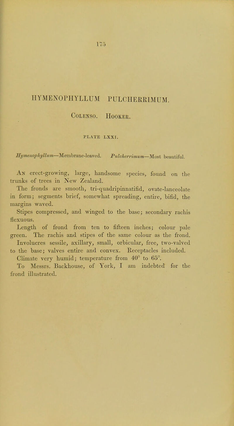 175 HYMENOPHYLLUM PULCHERRIMUM. Colenso. Hooker. PLATE LXXI. Hymenop/iyllum—Membrane-leaved. Pulcherrimum—Most beautiful. An erect-growing, large, handsome species, found on the trunks of trees in New Zealand. The fronds are smooth, tri-quadripinnatifid, ovate-lanceolate in form; segments brief, somewhat spreading, entire, bifid, the margins waved. Stipes compressed, and winged to the base; secondary rachis fiexuous. Length of frond from ten to fifteen inches; colour pale green. The rachis and stipes of the same colour as the frond. Involucres sessile, axillary, small, orbicular, free, two-valved to the base; valves entire and convex. Receptacles included. Climate very humid; temperature from 40° to 65°. To Messrs. Backhouse, of York, I am indebted for the