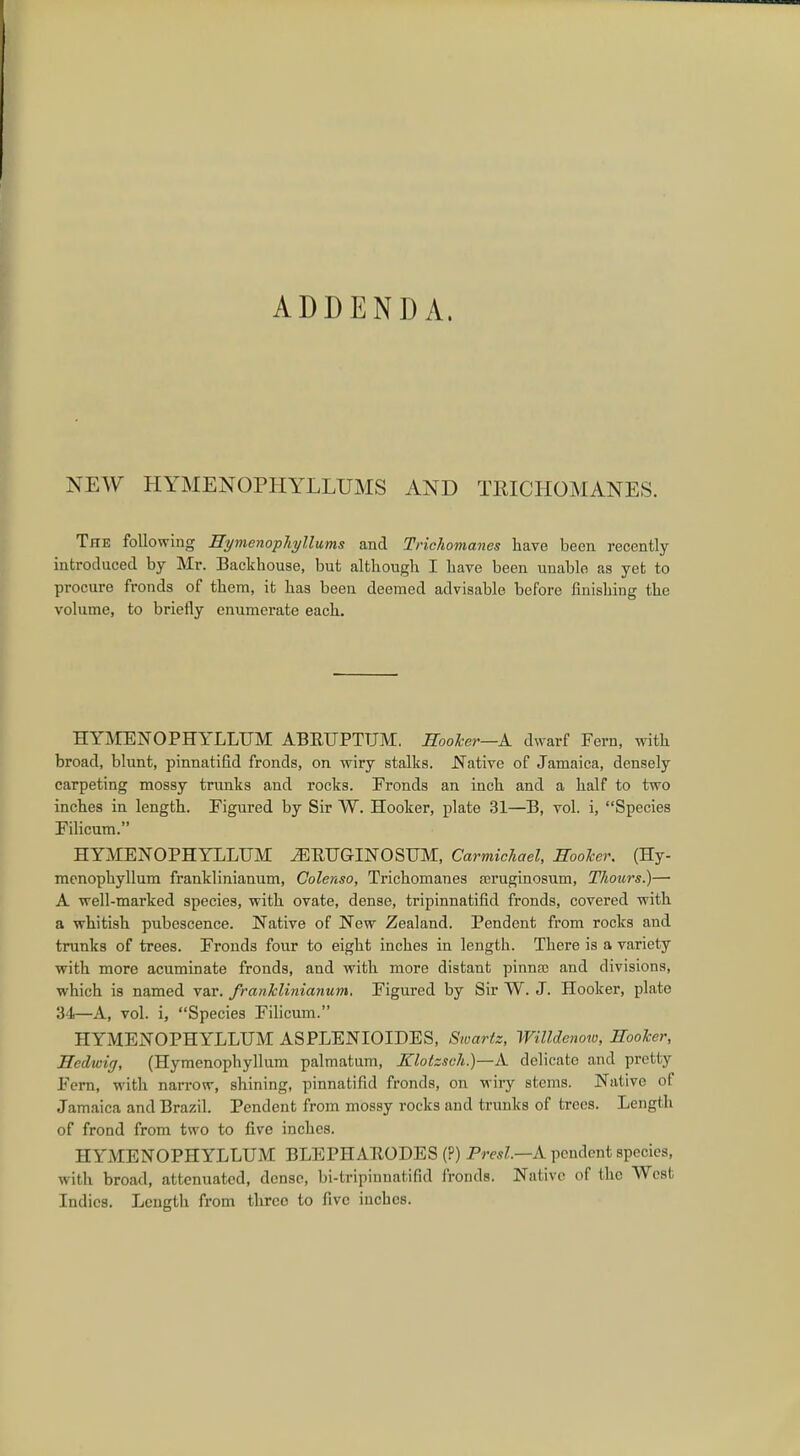 ADDENDA. NEW HYMENOPHYLLUMS AND TEICHOMANES. The following Hymenophyllums and Trichomanes have been recently introduced by Mr. Backhouse, but although I have been unable as yet to procure fronds of them, it has been deemed advisable before finishing the volume, to briefly enumerate each. HYMENOPHYLLUM ABKUPTUM. Hooker—A dwarf Fern, with broad, blunt, pinnatifid fronds, on wiry stalks. .Native of Jamaica, densely carpeting mossy trunks and rocks. Fronds an inch and a half to two inches in length. Figured by Sir W. Hooker, plate 31—B, vol. i, Species Filicum. HYMENOPHYLLUM .ERUGINOSUM, Carmichael, Hooker. (Hy- menophyllum franklinianum, Colenso, Trichomanes Beruginosum, Thours.)— A well-marked species, with ovate, dense, tripinnatifid fronds, covered with a whitish pubescence. Native of New Zealand. Pendent from rocks and trunks of trees. Fronds four to eight inches in length. There is a variety with more acuminate fronds, and with more distant pinnae and divisions, which is named var. franklinianum, Figured by Sir W. J. Hooker, plate 34—A, vol. i, Species Filicum. HYMENOPHYLLUM ASPLENIOIDES, Swartz, Willdenow, Hooker, Hedwicj, (Hymenophyllum palmatum, Klotzsch.)—A delicate and pretty Fern, with narrow, shining, pinnatifid fronds, on wiry stems. Native of Jamaica and Brazil. Pendent from mossy rocks and trunks of trees. Length of frond from two to five inches. HYMENOPHYLLUM BLEPHAEODES (?) Presl.—A. pendent species, with broad, attenuated, dense, bi-tripiunatifid fronds. Native of the West Indies. Length from three to five inches.