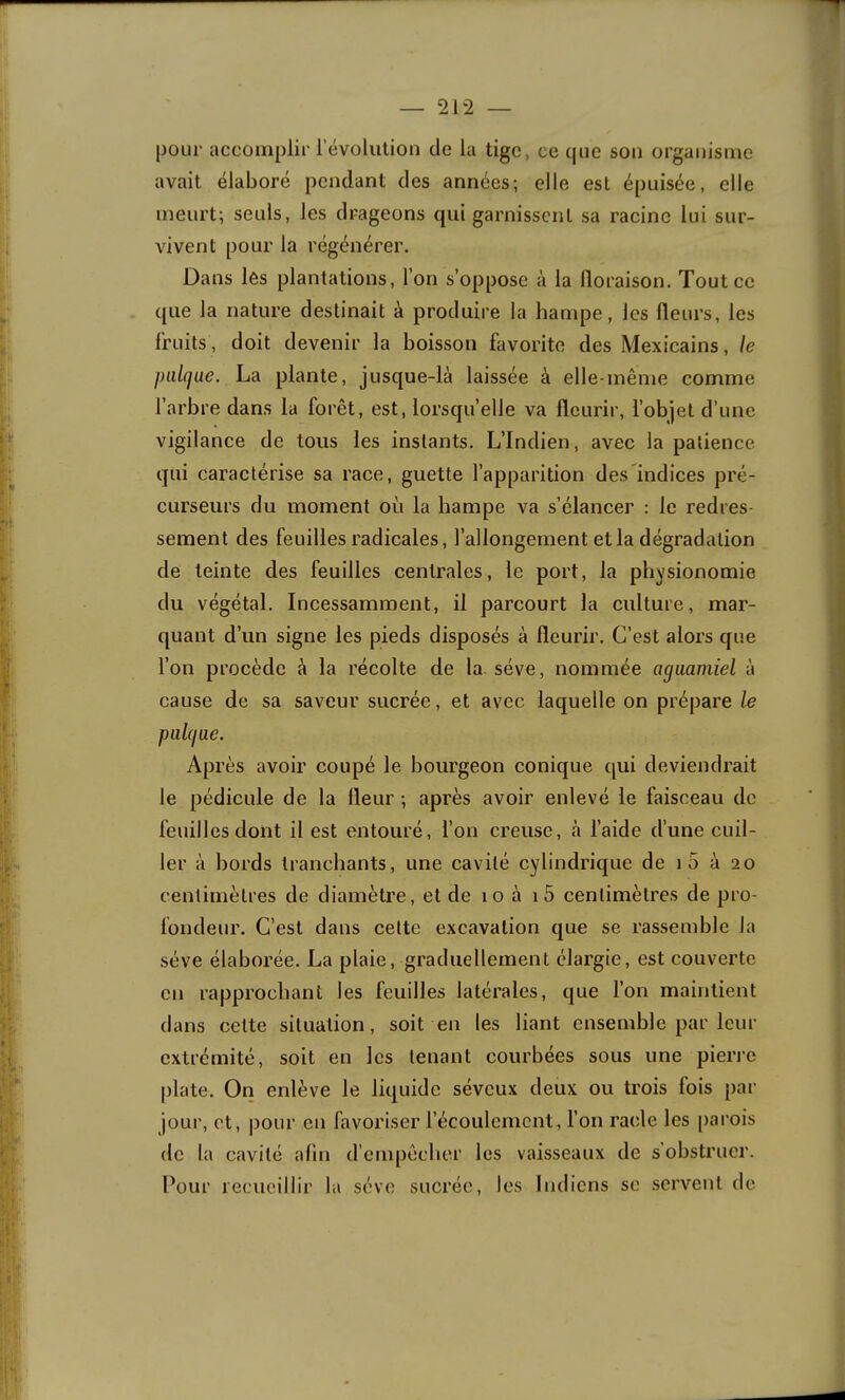 pour accomplir révolution de la tige, ce que son organisme avait élaboré pendant des années; elle est épuisée, elle m\ meurt; seuls, les drageons qui garnissent sa racine lui sur- C vivent pour la régénérer. H Dans les plantations, l’on s’oppose à la floraison. Tout ce I que la nature destinait à produire la hampe, les fleurs, les fl fruits, doit devenir la boisson favorite des Mexicains, le I piilqae. La plante, jusque-là laissée à elle-même comme I l’arbre dans la forêt, est, lorsqu’elle va fleurir, l’objet d’une I vigilance de tous les instants. L’Indien, avec la patience I qui caractérise sa race, guette l’apparition des'indices pré- I curseurs du moment où la hampe va s’élancer : le redres- ■ sement des feuilles radicales, l’allongement et la dégradation ■ de teinte des feuilles centrales, le port, la physionomie ■ du végétal. Incessamment, il parcourt la culture, mar- ■ quant d’un signe les pieds disposés à fleurir. C’est alors que I l’on procède à la récolte de la sève, nommée agaamiel à I cause de sa saveur sucrée, et avec laquelle on prépare le ■ pulque. I Après avoir coupé le bourgeon conique qui deviendrait I le pédicule de la fleur ; après avoir enlevé le faisceau de ‘ I feuilles dont il est entouré, l’on creuse, à l’aide d’une cuil- 1er à bords tranchants, une cavité cylindrique de i5 à 20 ■ centimètres de diamètre, et de 10 à i5 centimètres de pro- I fondeur. C’est dans cette excavation que se rassemble la sève élaborée. La plaie, graduellement élargie, est couverte en rapprochant les feuilles latérales, que l’on maintient dans cette situation, soit en les liant ensemble par leur extrémité, soit en les tenant courbées sous une pierre plate. On enlève le liquide séveux deux ou trois fois par | jour, et, pour en favoriser l’écoulement, l’on racle les parois de la cavité afin d’empêclier les vaisseaux de s obstruer. Pour recueillir la sève sucrée, les Indiens se servent de lÉ