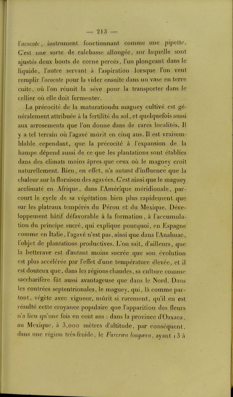 ïacocolc, instrument ronctionnant comme une pipette. C’est une sorte de calebasse allongée, sur lacpielle sont ajustés deux bouts de corne percés, l’im plongeant dans le liquide, l’autre servant à l’aspiration lorsque l’on veut remplir l'acocote pour la vider ensuite dans un vase en terre cuite, où l’on réunit la sève pour la transporter dans le cellier où elle doit fermenter. La précocité de la maturationdu maguey cultivé est gé- néralement attribuée à la fertilité du sol, et quelquefois aussi aux arrosements que l’on donne dans de rares localités. Il y a tel terrain où l’agavé mûrit en cinq ans. Il est vraisem- blable cependant, que la précocité à l’expansion de la hampe dépend aussi de ce que les plantations sont établies dans des climats moins âpres que ceux où le maguey croît naturellement. Rien, en effet, n’a autant d’influence que la chaleur sur la floraison des agavées. C’est ainsi que le maguey acclimaté en Afrique, dans l’Amérique méridionale, par- court le cycle de sa végétation bien plus rapidement que sur les plateaux tempérés du Pérou et du Mexique. Déve- loppement hâtif défavorable à la formation, à l’accumula- tion du principe sucré, qui explique pourquoi, en Espagne comme en Italie, l’agavé n’est pas, ainsi que dans l’Anahuac, l’objet de plantations productives. L’on sait, d’ailleurs, que la betterave est d’autant moins sucrée que .son évolution est plus accélérée par felTet d’une température élevée, et il est douteux que, dans les régions chaudes, sa culture comme saccharifère fût aussi avantageuse que dans le Nord. Dans les contrées septentrionales, le maguey, qui, là comme par- tout, végète avec vigueur, mûrit si rarement, qu’il en est résulté cette croyance populaire que l’apparition des fleurs n’a lieu qu’une fois en cent ans ; dans la province d’Oaxaca, au Mexique, à 3,ooo mètres d’altitude, par conséquent, dans une région très-froide, le Fiircvœa loiigæva, ayant i3 à