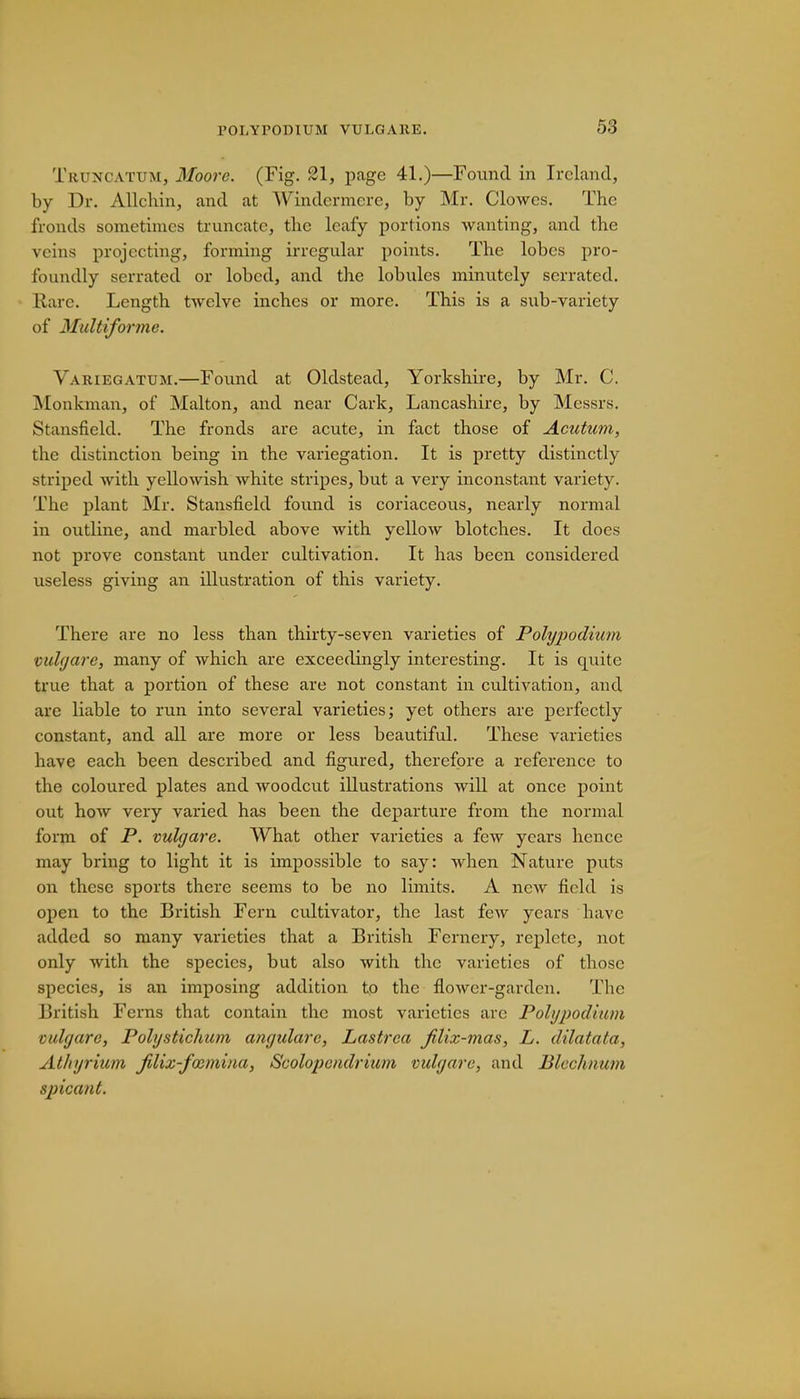 Truncattjm, Moore. (Fig. 21, page 41.)—Found in Ireland, by Dr. Allchin, and at Windermere, by Mr. Clowes. The fronds sometimes truncate, the leafy portions wanting, and the veins projecting, forming irregular points. The lobes pro- foundly serrated or lobed, and the lobules minutely serrated. Karc. Length twelve inches or more. This is a sub-variety of Multiforme. Variegatum.—Found at Oldstead, Yorkshire, by Mr. C. Monkman, of Malton, and near Carle, Lancashire, by Messrs. Stansfield. The fronds are acute, in fact those of Acutum, the distinction being in the variegation. It is pretty distinctly striped with yellowish white stripes, but a very inconstant variety. The: plant Mr. Stansfield found is coriaceous, nearly normal in outline, and marbled above with yellow blotches. It does not prove constant under cultivation. It has been considered useless giving an illustration of this variety. There are no less than thirty-seven varieties of Polypodium vulgare, many of which are exceedingly interesting. It is quite true that a portion of these are not constant in cultivation, and are liable to run into several varieties; yet others are perfectly constant, and all are more or less beautiful. These varieties have each been described and figured, therefore a reference to the coloured plates and Avoodcut illustrations will at once point out how very varied has been the departure from the normal form of P. vulgare. What other varieties a few years hence may bring to light it is impossible to say: when Nature puts on these sports there seems to be no limits. A new field is open to the British Fern cultivator, the last few years have added so many varieties that a British Fernery, replete, not only with the species, but also with the varieties of those species, is an imposing addition to the flower-garden. The British Ferns that contain the most varieties are Polypodium vulgare, Polystichum angulare, Lastrca filix-mas, L. dilatata, Athyrium Jilix-focmina, Scolopcndrium vulgare, and Blechnum spicant.