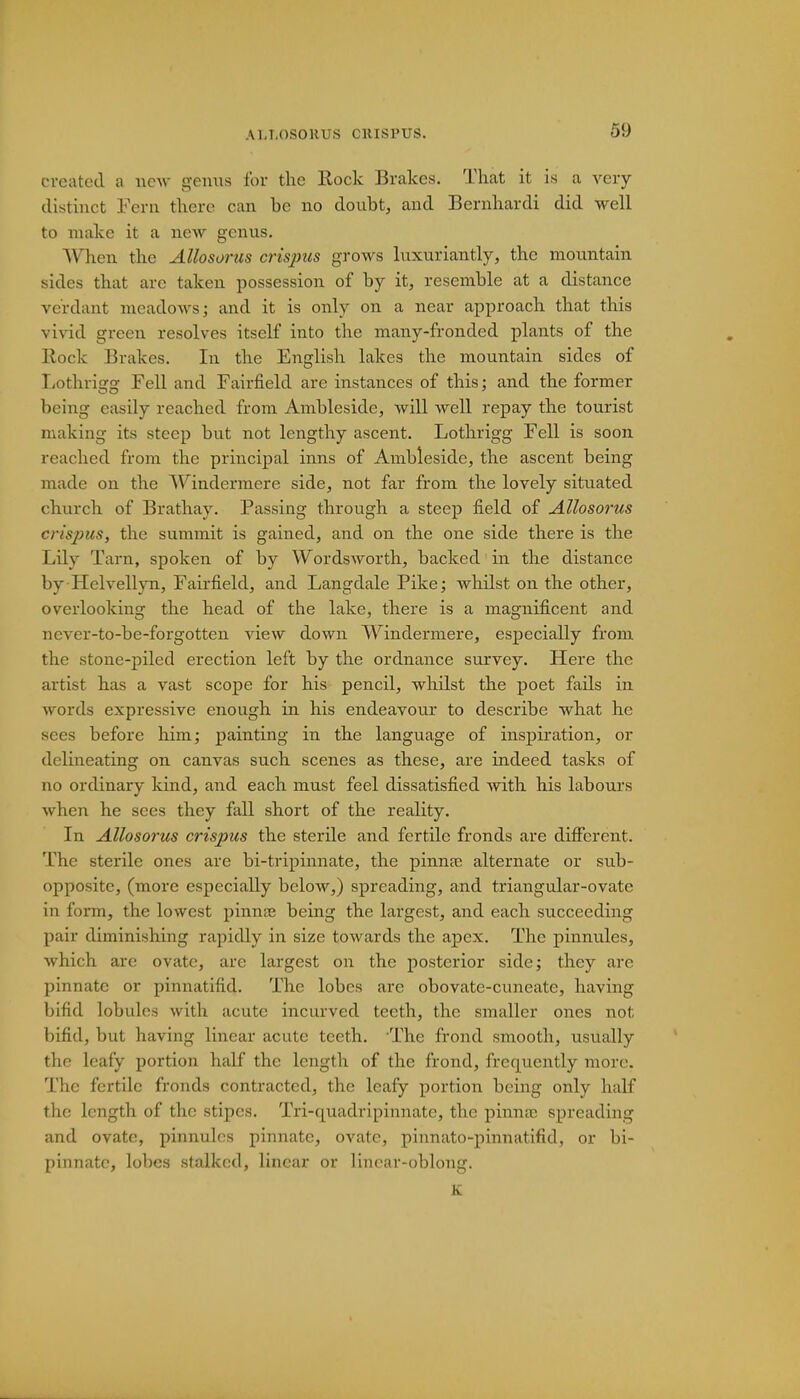 created a new genus for the Rock Brakes. That it is a very distinct Fern there can be no doubt, and Bernhardi did well to make it a new genus. When the Allosorus crispus grows luxuriantly, the mountain sides that arc taken possession of by it, resemble at a distance verdant meadows; and it is only on a near approach that this vivid green resolves itself into the many-fronded plants of the Hock Brakes. In the English lakes the mountain sides of Lothrigg Fell and Fairfield are instances of this; and the former being easily reached from Ambleside, will well repay the tourist making its steep but not lengthy ascent. Lothrigg Fell is soon reached from the principal inns of Ambleside, the ascent being made on the Windermere side, not far from the lovely situated church of Brathay. Passing through a steep field of Allosorus crispus, the summit is gained, and on the one side there is the Lily Tarn, spoken of by Wordsworth, backed in the distance by Helvellyn, Fairfield, and Langdale Pike; whilst on the other, overlooking the head of the lake, there is a magnificent and never-to-be-forgotten view down Windermere, especially from the stone-piled erection left by the ordnance survey. Here the artist has a vast scope for his pencil, whilst the poet fails in words expressive enough in his endeavour to describe what he sees before him; painting in the language of inspiration, or delineating on canvas such scenes as these, are indeed tasks of no ordinary kind, and each must feel dissatisfied with his labours when he sees they fall short of the reality. In Allosorus crispus the sterile and fertile fronds are different. The sterile ones are bi-tripinnate, the pinnae alternate or sub- opposite, (more especially below,) spreading, and triangular-ovate in form, the lowest pinna; being the largest, and each succeeding pair diminishing rapidly in size towards the apex. The pinnules, which are ovate, are largest on the posterior side; they are pinnate or pinnatifid. The lobes are obovate-cuneate, having bifid lobules with acute incurved teeth, the smaller ones not bifid, but having linear acute teeth. 'The frond smooth, usually the leafy portion half the length of the frond, frequently more-. The fertile fronds contracted, the leafy portion being only half the length of the stipes. Tri-quadripinnatc, the pinna; spreading and ovate, pinnules pinnate, ovate, pinnato-pinnatifid, or bi- pinnate, lobes stalked, linear or linear-oblong. K