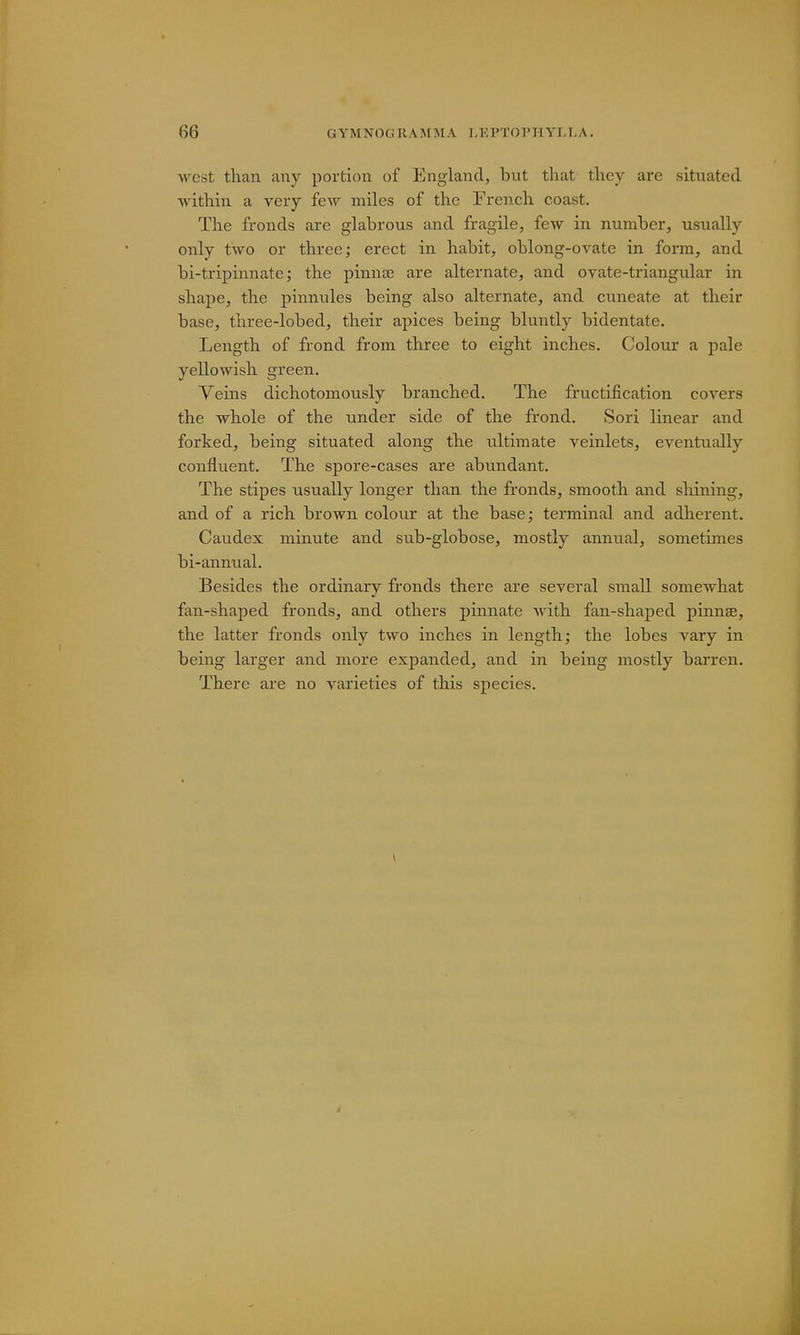 west than any portion of England, but that they are situated within a very few miles of the French coast. The fronds are glabrous and fragile, few in number, usually only two or three; erect in habit, oblong-ovate in form, and bi-tripinnate; the pinna? are alternate, and ovate-triangular in shape, the pinnules being also alternate, and cuneate at their base, three-lobed, their apices being bluntly bidentate. Length of frond from three to eight inches. Colour a pale yellowish green. Veins dichotomously branched. The fructification covers the whole of the under side of the frond. Sori linear and forked, being situated along the ultimate veinlets, eventually confluent. The spore-cases are abundant. The stipes usually longer than the fronds, smooth and shining, and of a rich brown colour at the base; terminal and adherent. Caudex minute and sub-globose, mostly annual, sometimes bi-annual. Besides the ordinary fronds there are several small somewhat fan-shaped fronds, and others pinnate with fan-shaped pinnee, the latter fronds only two inches in length; the lobes vary in being larger and more expanded, and in being mostly barren. There are no varieties of this species.