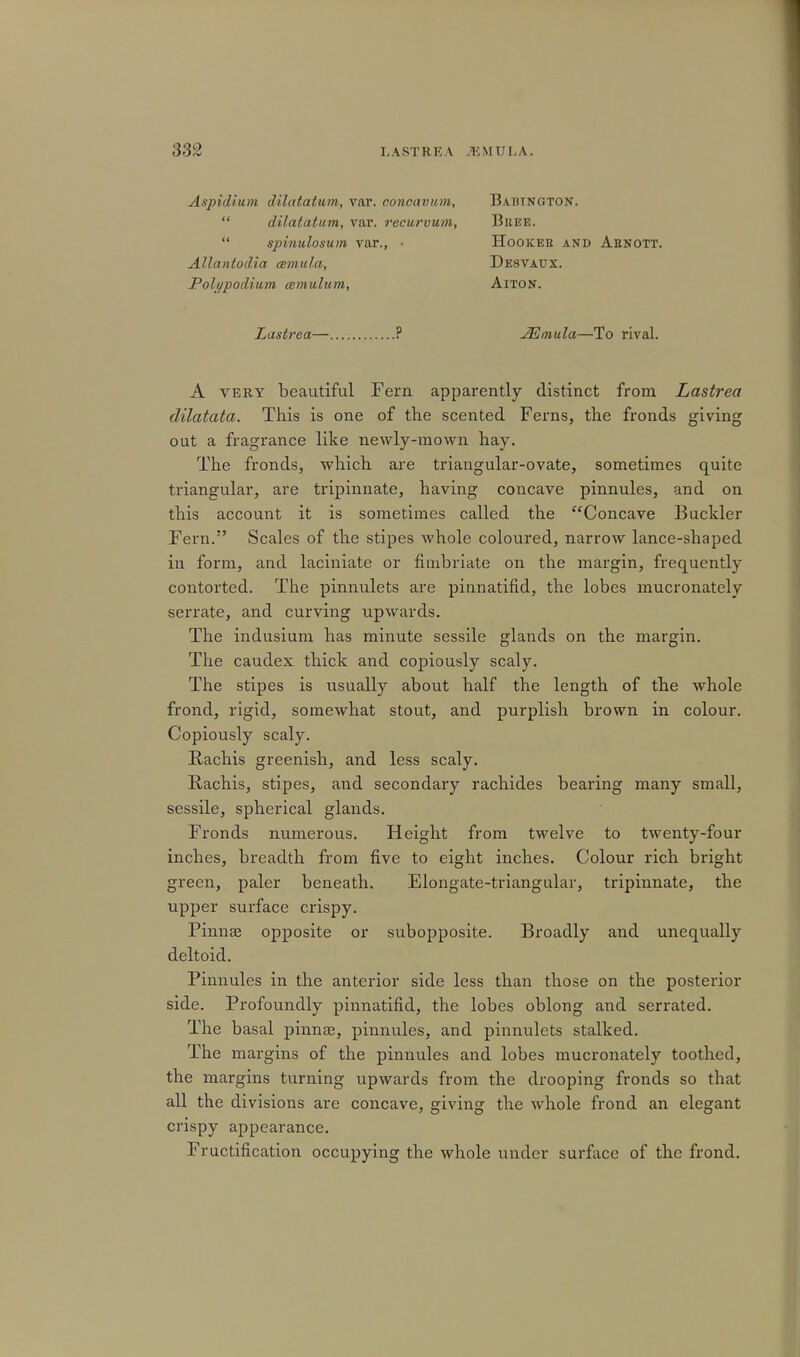 Axpidium dihttatum, var. concavum, dilatatum, var. recurvum, spinulosum var., • Allantodia cemula, Poli/podium cemuhim, Bahtngton. Bree. hookek and arnott. Desvaux. AlTON. Lastrea— ? JEmula—To rival. A very beautiful Fern apparently distinct from Lastrea clilatata. This is one of the scented Ferns, the fronds giving out a fragrance like newly-mown hay. The fronds, which are triangular-ovate, sometimes quite triangular, are tripinnate, having concave pinnules, and on this account it is sometimes called the Concave Buckler Fern. Scales of the stipes whole coloured, narrow lance-shaped in form, and laciniate or fimbriate on the margin, frequently contorted. The pinnulets are pinnatifid, the lobes mucronately serrate, and curving upwards. The indusium has minute sessile glands on the margin. The caudex thick and copiously scaly. The stipes is usually about half the length of the whole frond, rigid, somewhat stout, and purplish brown in colour. Copiously scaly. Rachis greenish, and less scaly. Rachis, stipes, and secondary rachides bearing many small, sessile, spherical glands. Fronds numerous. Height from twelve to twenty-four inches, breadth from five to eight inches. Colour rich bright green, paler beneath. Elongate-triangular, tripinnate, the upper surface crispy. Pinna? opposite or subopposite. Broadly and unequally deltoid. Pinnules in the anterior side less than those on the posterior side. Profoundly pinnatifid, the lobes oblong and serrated. The basal pinnae, pinnules, and pinnulets stalked. The margins of the pinnules and lobes mucronately toothed, the margins turning upwards from the drooping fronds so that all the divisions are concave, giving the whole frond an elegant crispy appearance. Fructification occupying the whole under surface of the frond.