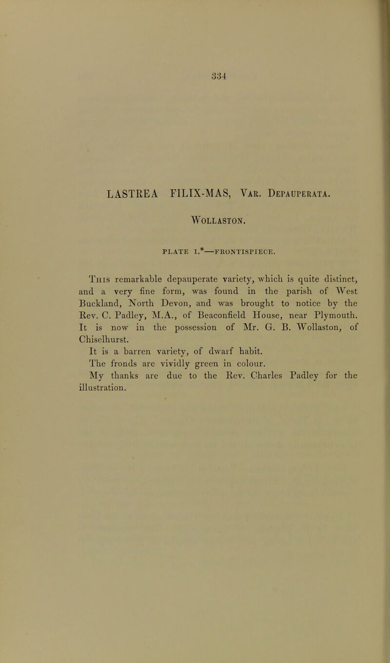 LASTREA FILIX-MAS, Var. Depauperata. WOLLASTON. PLATE I.* FRONTISPIECE. This remarkable depauperate variety, which is quite distinct, and a very fine form, was found in the parish of West Buckland, North Devon, and was brought to notice by the Rev. C. Padley, M.A., of Beaconfield House, near Plymouth. It is now in the possession of Mr. G. B. Wollaston, of Chiselhurst. It is a barren variety, of dwarf habit. The fronds are vividly green in colour. My thanks are due to the Rev. Charles Padley for the illustration.