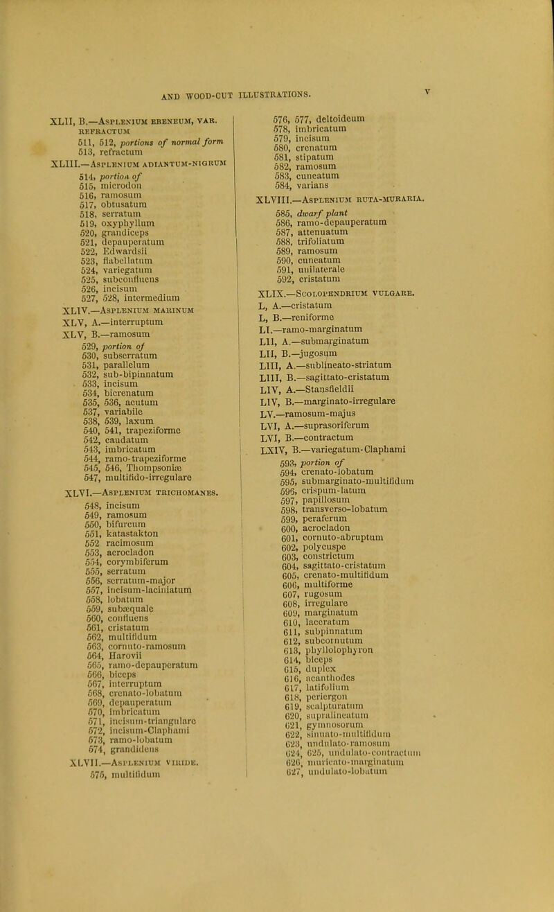 AND WOOD-CUT ILLUSTRATIONS. XLII, B.—.\sn.ENIUM ERENEUM, VAR. REFRACTUM 511, 512, portions of normal form 613, refractum XLIII.—Asplen’ium adiantum-nigrum 514, portion of 615, microdon 616, ramosuin 517, obtusatum 518, serratuin 519, oxyphylliun 520, grandiceps 521, depauperntiim 522, Edwavdsii 523, fiabcllatiim 524, varicgatum 525, subcoiifiiieiis 526, incisum 527, 528, intermedium XLIV.—Asplenium mauinum XLV, A.—interruptum XLV, B.—ramosum 529, portion of 530, subserratum 531, parallelum 532, sub-bipinnatura 533, incisum 534, bicrenatura 535, 536, acutum 537, variabiie 538, 539, iaxum 540, 541, trapeziformc 542, caudatum 543, imbricatum 544, ramo- tvapeziforme 645, 646, Tliompsonim 547, multitido-irreguiaro XLVI.—Asplenium trichomanes. 548, incisum 649, ramo.sum 550, bifurcum 551, katastakton 552 racimosum 653, acrocladon 554, corymbiferum 555, serratum 656, serratum-major 657, incisum-laciiiiatum 658, lobatum 659, subasquale 560, confiuens 661, cristatum 662, multifidum 663, corn uto-ramosum 66-1, Ilarovii 665, raino-dcpaupcratum 666, biceps 667, interruptum 668, crenato-lobatum 569, depauperatuin 570, imbricatum 671, incisum-triangiilarc 672, incisum-Clapliami 673, ramo-lobatum 674, grandidens X LV11.—AsPLEN lUM VIRIUE. 676, multiliduin 676, 677, deltoidcum 578, imbricatum 579, incisum 680, crenatum 681, stipatum 682, ramosum 683, cuncatum 684, varians XLVIIi.—Asplenium ruta-muraria. 685, dwarf plant 686, ramo-depauperatum 687, attenuatum 688, trifoliatura 589, ramosum 590, cuncatum 691, unilaterale 692, cristatum XLIX.—ScOT.OPBNDRIUM VULGARB. L, A.—cristatum L, B.—reniforme LI. —ramo-marginatum Lll, A.—submarginatum LII, B.—jugosum Llll, A.—sublineato-striatum LllI, B.—sagittato-cristatum LIV, A.—Stansfieldii LIV, B.—marginato-irregulare LY._ramosum-maju3 LVI, A.—suprasoriferum LVI, B.—contractum LXIV, B.—varicgatum-Claphami 593, portion of 594, crenato-lobatum 595, submarginato-muitiiidum 596, crispum-latum 697, papillosum 698, transverso-lobatum 699, peraferum 600, acrocladon 601, cornuto-abruptum 602, polycuspe 603, constrictum 604, sagittato-cristatum 605, crenato-multiBdum 606, niultiforme 607, rugosum 608, irrcgulare 609, marginatum 610, laccratum 611, subpinriatum 612, subcornutum 613, pbyllolopliyron 614, bleeps 615, duplex 616, acanthodes 017, latifolium 618, periergou 619, scalptiirutum 620, supralincatum 621, gymnosorum 622, simmto-imiltilldum 623, undiilato-ramosum 024, 025, umlulato-coiitr.actiim 626, muricalo-margiiuitum 627, undulato-lobiitum