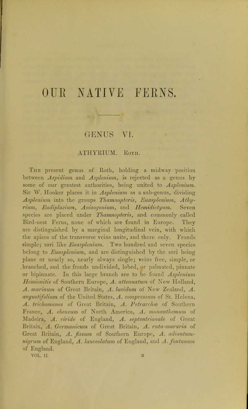 OUR NATIVE FERNS. GENUS VI. ATHYRIUM. Roth. The present genus of Roth, holding a midway position between Aspidiam and Asplenium, is rejected as a genus by some of our greatest authorities, being united to Asplenium. Sir W. Hooker places it in Asplenium as a sub-genus, dividing Asplenium into the groups Thamnopteris, Euasplenium, Athy- rium, Eudiplazium, Anisogonium, and Ilemidictyum. Seven species are placed under Thamnopteris, and commonly called Bird-nest Ferns, none of which are found in Europe. They are distinguished by a marginal longitudinal vein, with which the apices of the transverse veins unite, and there only. Fronds simple; sori like Euasplenium. Two hundred and seven species belong to Euasplenium, and are distinguished by the sori being plane or nearly so, nearly always single; veins free, simple, or .branched, and the fronds undivided, lobed, or palmatcd, pinnate or bipinnate. In this large branch are to be found Asplenium Ilemionitis of Southern Europe, A. attenuatum of New TTolland, A. marinum of Great Britain, A. lucidum of New Zealand, A. angustifolium of the United States, A. compressum of St. Helena, A. trichomanes of Great Britain, A. Petrarchce of Southern France, A. eheneum of North America, A. monanthemum of Madeira, A. viride of England, A. septentrionale of Great Britain, A. Germanicum of Great Britain, A. ruta-muraria of Great Britain, A. Jissum of Southern Europe, A. adianhim- nigrum of England, A. lanceolatum of England, and A. fontanum of England. VOL. II. B
