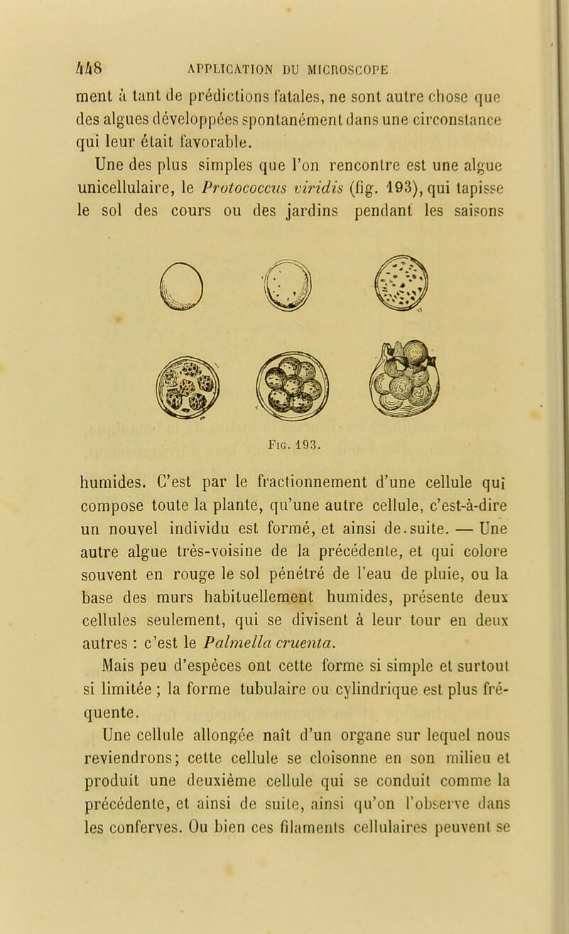 ment à tant de prédictions fatales, ne sont autre chose que des algues développées spontanément dans une circonstance qui leur était favorable. Une des plus simples que l'on rencontre est une algue unicellulaire, le Prutococcus viridis (fig. 193), qui tapisse le sol des cours ou des jardins pendant les saisons Fig. 193. humides. C'est par le fractionnement d'une cellule qui compose toute la plante, qu'une autre cellule, c'est-à-dire un nouvel individu est formé, et ainsi de.suite. — Une autre algue très-voisine de la précédente, et qui colore souvent en rouge le sol pénétré de l'eau de pluie, ou la base des murs habituellement humides, présente deux cellules seulement, qui se divisent à leur tour en deux autres : c'est le Palmella cruenia. Mais peu d'espèces ont cette forme si simple et surtout si limitée ; la forme tubulaire ou cylindrique est plus fré- quente. Une cellule allongée naît d'un organe sur lequel nous reviendrons; cette cellule se cloisonne en son milieu et produit une deuxième cellule qui se conduit comme la précédente, et ainsi de suite, ainsi qu'on l'observe dans les conferves. Ou bien ces filaments cellulaires peuvent se