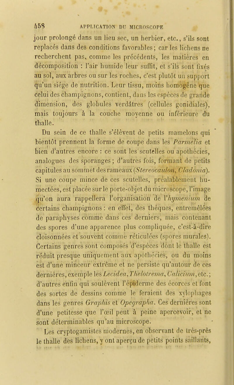 jour prolongé dans un lieu sec, un herbier, etc., s'ils sont replacés dans des conditions favorables; car les lichens ne recherchent pas, comme les précédents, les matières en décomposition : l'air humide leur suffit, et s'ils sont fixés au sol, aux arbres ou sur les roches, c'est plutôt un support qu'un siège de nutrition. Leur tissu, moins homogène que celui des champignons, contient, dans les espèces de grande dimension, des globules verdâtres (cellules gonidiales), mais toujours à la couche moyenne ou inférieure du thalle. Du sein de ce thalle s'élèvent de petits mamelons qui bientôt prennent la forme de eoupe dans les Pàrmetia et bien d'autres encore : ce sont les scutelles ou apolhécies, analogues des sporanges; d'autres fois, formant de petits capitules au sommet des rameaux (Stereocan/on, Ctadonia). Si une coupe mince de ces scutelles, préalablement hu- mectées, est placée sur le porte-objet du microscope, l'image qu'on aura rappellera l'organisation de Vhymenium de certains champignons : en effet, des thèques, entremêlées de paraphyses comme dans ces derniers, mais contenant des spores d'une apparence plus compliquée, c'est-à-dire cloisonnées et souvent comme réticulées (spores murales). Certains genres sont composés d'espèces dont le thalle est réduit presque uniquement aux apolhécies, ou du moins est d'une minceur extrême et ne persiste qu'autour de ces dernières, exemple les Lecidea<,Thelolrema, Calicïiïm,elc; d'autres enfin qui soulèvent l'épiderme des écorecs el font des sortes de dessins comme le feraient des xylopliages dans les genres Graphis et Opec/rapha. Ces dernières sont d'une petitesse que l'œil peut à peine apercevoir, et ne sont déterminables qu'au microscope. Les cryptogamistes modernes, en observant de très-près le thalle des lichens, y ont aperçu de petits points saillants.