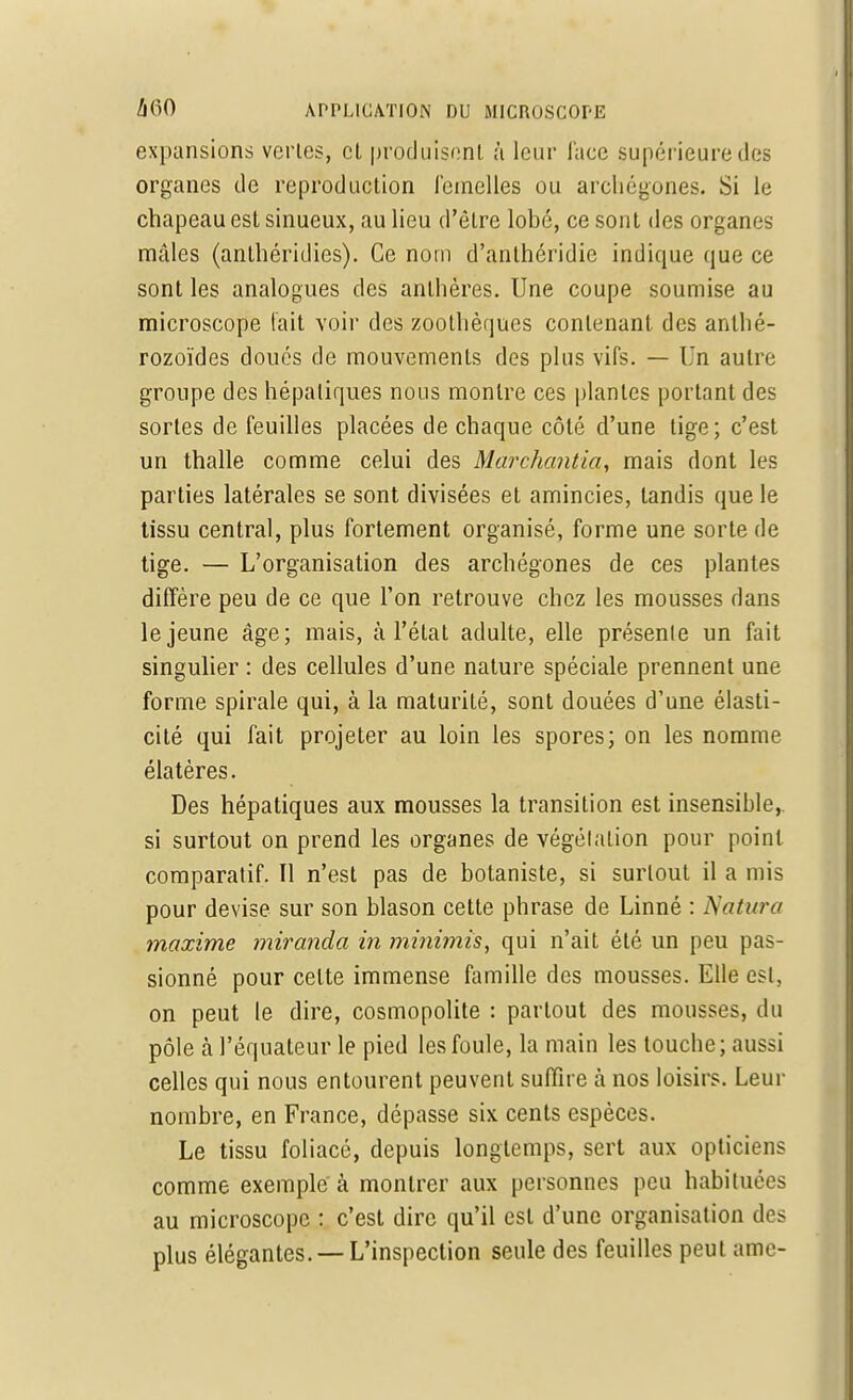 expansions vertes, cl produisent à leur face supérieure des organes de reproduction femelles ou archégones. Si le chapeau est sinueux, au lieu d'être lobé, ce sont des organes radies (anlhéridies). Ce nom d'anthéridie indique que ce sont les analogues des anthères. Une coupe soumise au microscope fait voir des zoothèques contenant des anthé- rozoïdes doués de mouvements des plus vifs. — Un autre groupe des hépatiques nous montre ces plantes portant des sortes de feuilles placées de chaque côté d'une tige; c'est un thalle comme celui des Marchanda, mais dont les parties latérales se sont divisées et amincies, tandis que le tissu central, plus fortement organisé, forme une sorte de tige. — L'organisation des archégones de ces plantes diffère peu de ce que l'on retrouve chez les mousses dans le jeune âge; mais, à l'état adulte, elle présente un fait singulier : des cellules d'une nature spéciale prennent une forme spirale qui, à la maturité, sont douées d'une élasti- cité qui fait projeter au loin les spores; on les nomme élatères. Des hépatiques aux mousses la transition est insensible, si surtout on prend les organes de végétation pour point comparatif. Il n'est pas de botaniste, si surtout il a mis pour devise sur son blason cette phrase de Linné : Nature maxime miranda in minimis, qui n'ait été un peu pas- sionné pour celte immense famille des mousses. Elle est, on peut le dire, cosmopolite : partout des mousses, du pôle h l'équateur le pied les foule, la main les touche; aussi celles qui nous entourent peuvent suffire à nos loisirs. Leur nombre, en France, dépasse six cents espèces. Le tissu foliacé, depuis longtemps, sert aux opticiens comme exemple à montrer aux personnes peu habituées au microscope : c'est dire qu'il est d'une organisation des plus élégantes. —L'inspection seule des feuilles peut ame-