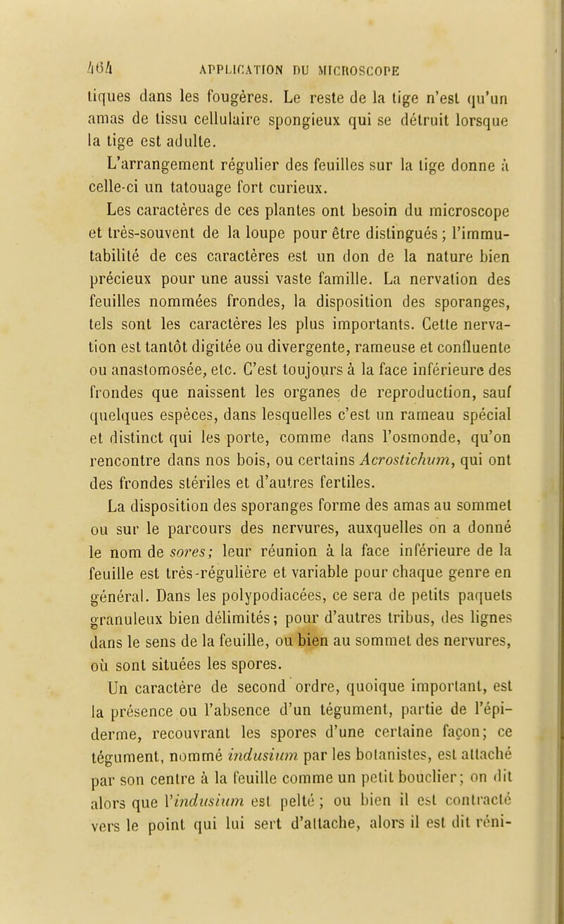 tiques dans les fougères. Le reste de la tige n'est qu'un amas de tissu cellulaire spongieux qui se détruit lorsque la tige est adulte. L'arrangement régulier des feuilles sur la tige donne ;'i celle-ci un tatouage fort curieux. Les caractères de ces plantes ont besoin du microscope et très-souvent de la loupe pour être distingués ; l'immu- tabilité de ces caractères est un don de la nature bien précieux pour une aussi vaste famille. La nervation des feuilles nommées frondes, la disposition des sporanges, tels sont les caractères les plus importants. Cette nerva- tion est tantôt digitée ou divergente, rameuse et confluente ou anastomosée, etc. C'est toujours à la face inférieure des frondes que naissent les organes de reproduction, sauf quelques espèces, dans lesquelles c'est un rameau spécial et distinct qui les porte, comme dans l'osmonde, qu'on rencontre dans nos bois, ou certains Acrostichvm, qui ont des frondes stériles et d'autres fertiles. La disposition des sporanges forme des amas au sommet ou sur le parcours des nervures, auxquelles on a donné le nom de sores; leur réunion à la face inférieure de la feuille est très-régulière et variable pour chaque genre en général. Dans les polypodiacées, ce sera de petits paquets granuleux bien délimités; pour d'autres tribus, des lignes dans le sens de la feuille, ou bien au sommet des nervures, où sont situées les spores. Un caractère de second ordre, quoique important, est la présence ou l'absence d'un tégument, partie de l'épi- derme, recouvrant les spores d'une certaine façon; ce tégument, nommé indusium par les bolanistes, est attaché par son centre à la feuille comme un petit bouclier ; on dit alors que Y indusium est pelté ; ou bien il est contracte vers le point qui lui sert d'attache, alors il est dit ivni-