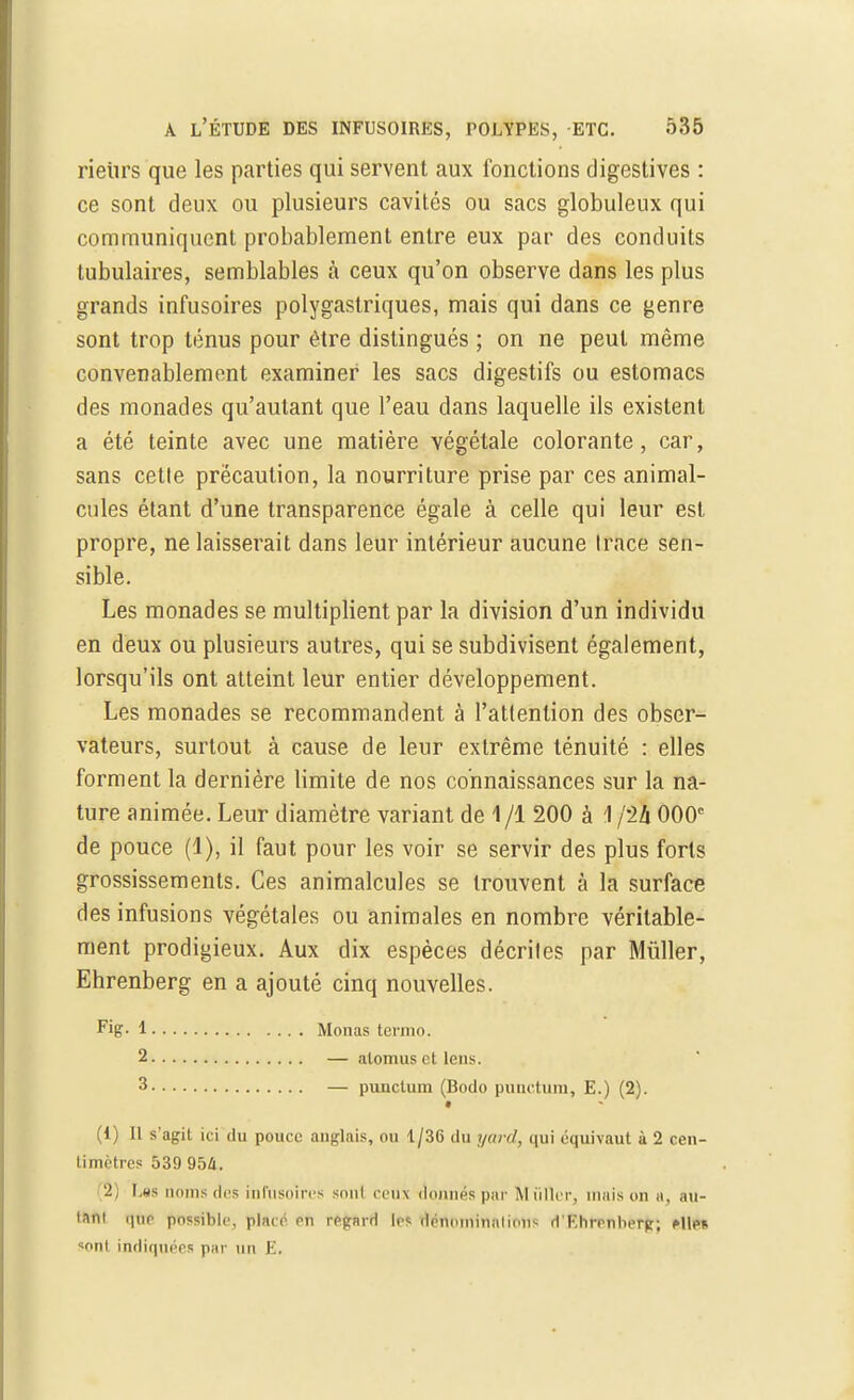 rieiirs que les parties qui servent aux fonctions digestives : ce sont deux ou plusieurs cavités ou sacs globuleux qui communiquent probablement entre eux par des conduits tubulaires, semblables a ceux qu'on observe dans les plus grands infusoires polygastriques, mais qui dans ce genre sont trop ténus pour être distingués ; on ne peut même convenablement examiner les sacs digestifs ou estomacs des monades qu'autant que l'eau clans laquelle ils existent a été teinte avec une matière végétale colorante, car, sans cette précaution, la nourriture prise par ces animal- cules étant d'une transparence égale à celle qui leur est propre, ne laisserait dans leur intérieur aucune Irace sen- sible. Les monades se multiplient par la division d'un individu en deux ou plusieurs autres, qui se subdivisent également, lorsqu'ils ont atteint leur entier développement. Les monades se recommandent à l'attention des obser- vateurs, surtout à cause de leur extrême ténuité : elles forment la dernière limite de nos connaissances sur la na- ture animée. Leur diamètre variant de 1 /l 200 à 1 /23 000e de pouce (1), il faut pour les voir se servir des plus forts grossissements. Ces animalcules se trouvent à la surface des infusions végétales ou animales en nombre véritable- ment prodigieux. Aux dix espèces décrites par Millier, Ehrenberg en a ajouté cinq nouvelles. Fig- 1 Monas termo. 2 — alomus et lens. 3 — punclum (Bodo punctum, E.) (2). (1) Il s'agit ici du pouce anglais, ou 1/36 du yard, qui équivaut à 2 cen- timètres 539 954. '2) Las noms des infusoires sont ceiii donnés pur Millier, maison a, au- tant que possible, placé en regard les dénomination- d'Khrenlierg; Mien «ont indiquées par un E.