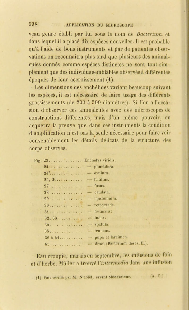 veau genre établi par lui sous le nom de Bacterium, et dans lequel il a placé dix espèces nouvelles. Il est probable qu'à l'aide de bons instruments et par de patientes obser- vations on reconnaîtra plus tard que plusieurs des animal- cules donnés comme espèces distinctes ne sont tout sim- plement que des individus semblables observés à différentes époques de leur accroissement (1). Les dimensions des enchélides variant beaucoup suivant les espèces, il est nécessaire de faire usage des différents grossissements (de 200 à 500 diamètres). Si l'on a l'occa- sion d'observer ces animalcules avec des microscopes de constructions différentes, mais d'un même pouvoir, on acquerra la preuve que dans ces instruments la condition d'amplification n'est pas la^seule nécessaire pour faire voir convenablement les détails délicats de la structure des corps observés. Fig. 23 Enclielys viridis. 24 — punctifera. 24' — ovulum. 25, 26 — fritillus. 27 — fusus. 28 — caudata. 29 — epistominm. 30 — rétrograda. 31 — l'estinans. 32. 33 — index. 34. — spatula. 35 — truncus. 36 à 41 — pupa et farcimen. 65 — descs (Bacterium deses, E.). Eau croupie, marais en septembre, les infusions de foin et d'herbe. Millier a trouvé YinitYm&Uûdttïtë une infusion (1) Fait vprifir par M. Nirnlrl. savant nbsprvatPiir. 'A. C