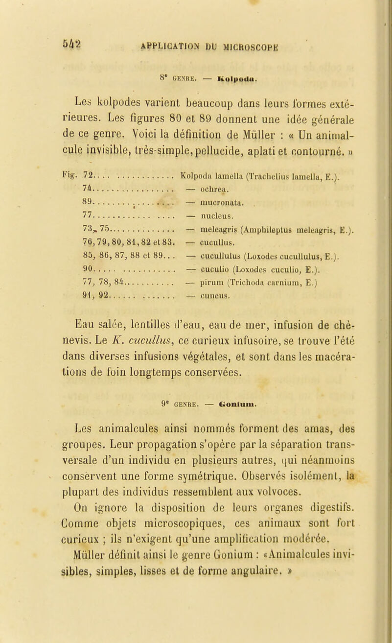 5*2 8e GENRE. — Kulpoilu. Les kolpodes varient beaucoup dans leurs formes exté- rieures. Les figures 80 et 89 donnent une idée générale de ce genre. Voici la définition de Mùller : « Un animal- cule invisible, très-simple, pellucide, aplati et contourné. » 72 Kolpoda lamelhi (Traclielius lamella, E.). 74 — ocurea. 89 — mucronata. 77 — nucleus. 73„75 — meleagris (Aniphileptus meleagris, E.). 76,79,80, 81,82 et 83. — cucullus. 85, 86, 87, 88 et 89.. . — cucullulus (Lc-xodes cucullulus, E.). 90 — cuculio (Loxodes cuculio, E.). 77, 78, 84 — pirum (Trichoda carnium, E.) 91. 92 — cuneus. Eau salée, lentilles d'eau, eau de mer, infusion de chè- nevis. Le K. cucullus, ce curieux infusoire, se trouve l'été dans diverses infusions végétales, et sont dans les macéra- tions de foin longtemps conservées. 9e genre. — Goniuiu. Les animalcules ainsi nommés forment des amas, des groupes. Leur propagation s'opère par la séparation trans- versale d'un individu en plusieurs autres, qui néanmoins conservent une forme symétrique. Observés isolément, la plupart des individus ressemblent aux volvoces. On ignore la disposition de leurs organes digestifs. Comme objets microscopiques, ces animaux sont fort curieux ; ils n'exigent qu'une amplification modérée. Mùller définit ainsi le genre Gonium : «Animalcules invi- sibles, simples, lisses et de forme angulaire. »