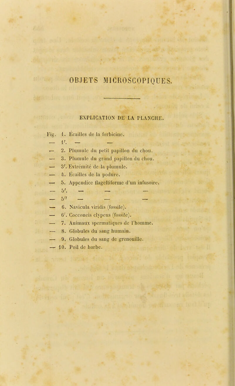 OBJETS MICROSCOPIQUES. EXPLICATION DE LA. PLANCHE. 1. Écailles de la forbicinc. V. — — 2. Plumulc du petit papillon du chou. 3. Plumule du grand papillon du chou. 3'. Extrémité de la plumulc. II. Ecailles de la podure. 5. Appendice llagelliformc d'un infusoire. 5'. — — — 5 — — — 6. Navicula viridis (fossile). 6'. Cocconeis clypcus (fossile). 7. Animaux spermatiques de l'homme. 8. Globules du sang humain. 9. Globules du sang de grenouille. 10. Poil de barbe.