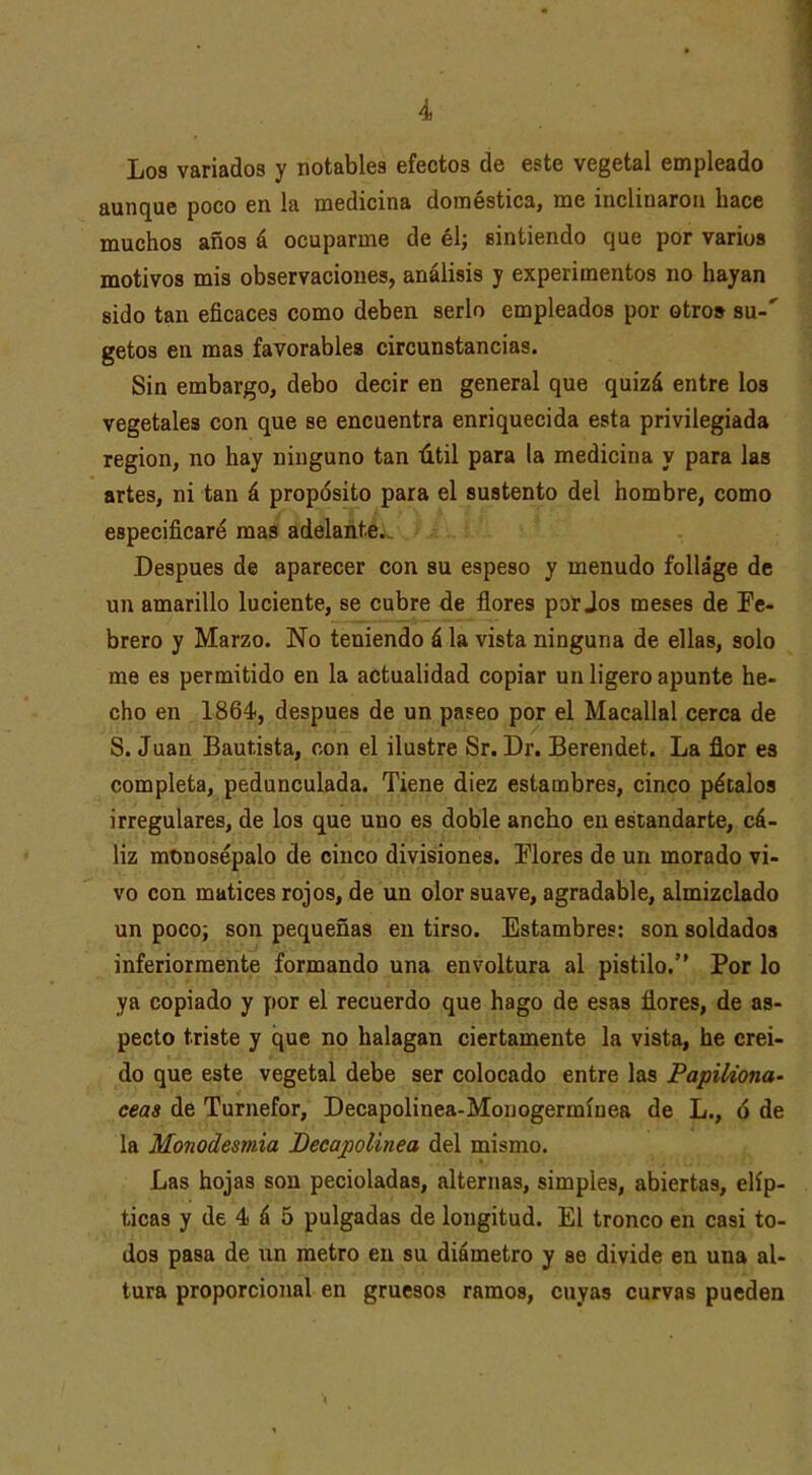 Los variados y notables efectos de este vegetal empleado aunque poco en la medicina doméstica, me inclinaron hace muchos años á ocuparme de él; sintiendo que por varios motivos mis observaciones, análisis y experimentos no hayan sido tan eficaces como deben serlo empleados por otro» su-' getos en mas favorables circunstancias. Sin embargo, debo decir en general que quizá entre los vegetales con que se encuentra enriquecida esta privilegiada región, no hay ninguno tan útil para la medicina y para las artes, ni tan á propósito para el sustento del hombre, como especificaré mas adelante. Después de aparecer con su espeso y menudo folláge de un amarillo luciente, se cubre de flores por Jos meses de Fe- brero y Marzo. No teniendo á la vista ninguna de ellas, solo me es permitido en la actualidad copiar un ligero apunte he- cho en 1864-, después de un paseo por el Macallal cerca de S. Juan Bautista, oon el ilustre Sr. Dr. Berendet. La flor es completa, pedunculada. Tiene diez estambres, cinco pétalos irregulares, de los que uno es doble ancho en estandarte, cá- liz monosépalo de cinco divisiones. Flores de un morado vi- vo con matices rojos, de un olor suave, agradable, almizclado un poco; son pequeñas en tirso. Estambres: son soldados inferiorraente formando una envoltura al pistilo. Por lo ya copiado y por el recuerdo que hago de esas flores, de as- pecto triste y que no halagan ciertamente la vista, he creí- do que este vegetal debe ser colocado entre las PapiUona' ceas de Turnefor, Decapolinea-Monogermínea de L., 6 de la Monodesmia Decajjolinea del mismo. Las hojas son pecioladas, alternas, simples, abiertas, elíp- ticas y de 4 á 5 pulgadas de longitud. El tronco en casi to- dos pasa de un metro en su diámetro y se divide en una al- tura proporcional en gruesos ramos, cuyas curvas pueden