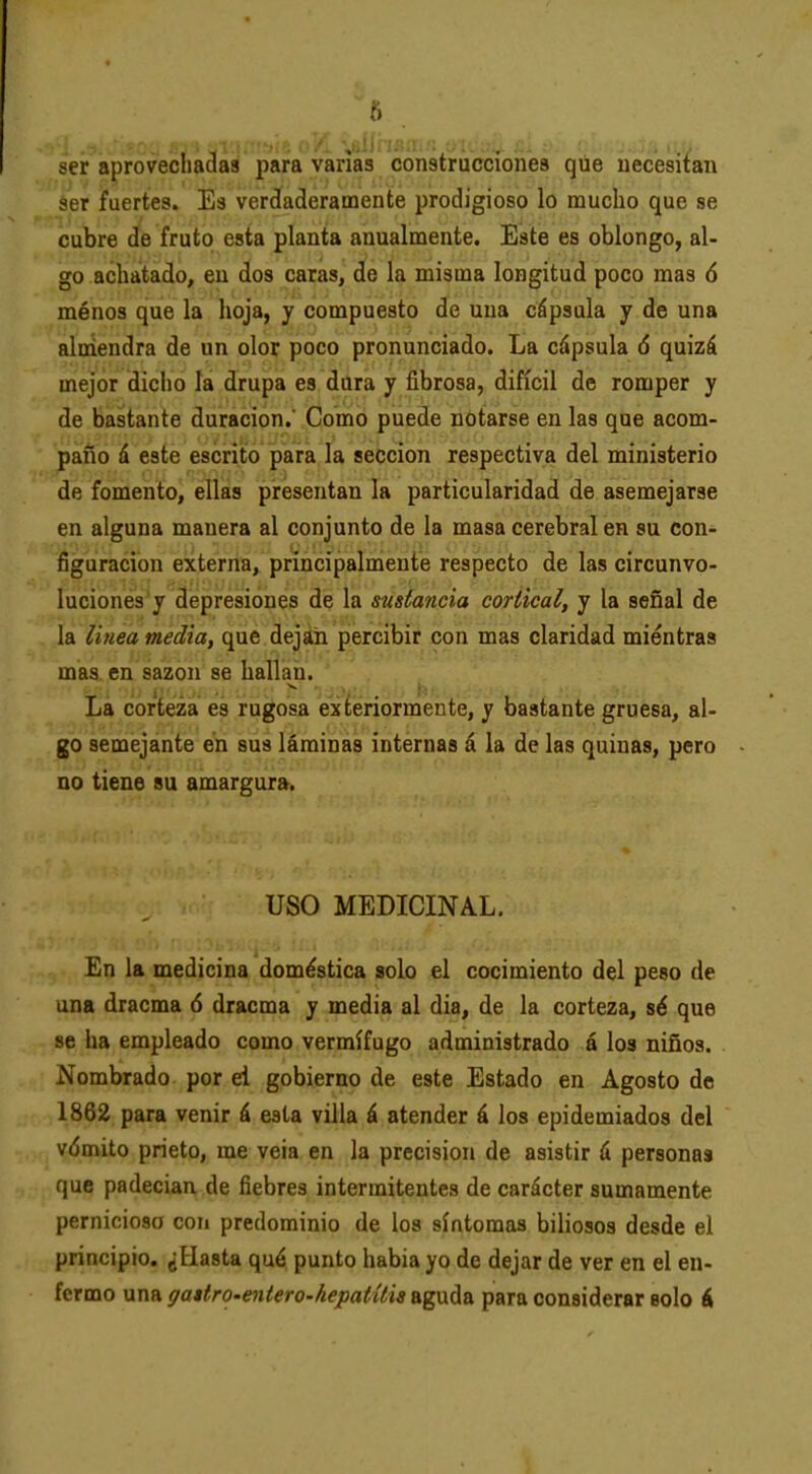 ser aprovechadas para varias construcciones que necesitan ser fuertes. Es verdaderamente prodigioso lo mucho que se cubre de fruto esta planta anualmente. Este es oblongo, al- go achatado, en dos caras, de la misma longitud poco mas 6 ménos que la hoja, y compuesto de una cápsula y de una alaíeudra de un olor poco pronunciado. La cápsula 6 quizá mejor dicho la drupa es dura y fibrosa, difícil de romper y de bastante duración.' Como puede notarse en las que acom- paño á este escrito para la sección respectiva del ministerio de fomento, ellas presentan la particularidad de asemejarse en alguna manera al conjunto de la masa cerebral en su con- figuración externa, principalmente respecto de las circunvo- luciones y depresiones de la sustancia cortical, y la señal de la linea media, que dejan percibir con mas claridad mientras mas en sazón se hallajti. La corteza es rugosa exteriormente, y bastante gruesa, al- go semejante en sus láminas internas á la de las quinas, pero no tiene su amargura. USO MEDICINAL. En la medicina doméstica solo el cocimiento del peso de una dracma ó dracma y media al dia, de la corteza, sé que se ha empleado como vermífugo administrado á los niños. Nombrado por el gobierno de este Estado en Agosto de 1862 para venir á esta villa á atender á los epidemiados del vómito prieto, me veia en la precisión de asistir 6 personas que padecían de fiebres intermitentes de carácter sumamente perniciosa con predominio de los síntomas biliosos desde el principio. ¿Hasta qué punto habia yo de dejar de ver en el en- fermo una ffaifro-eniero-Aepatíiis üg\xd& para considerar solo á