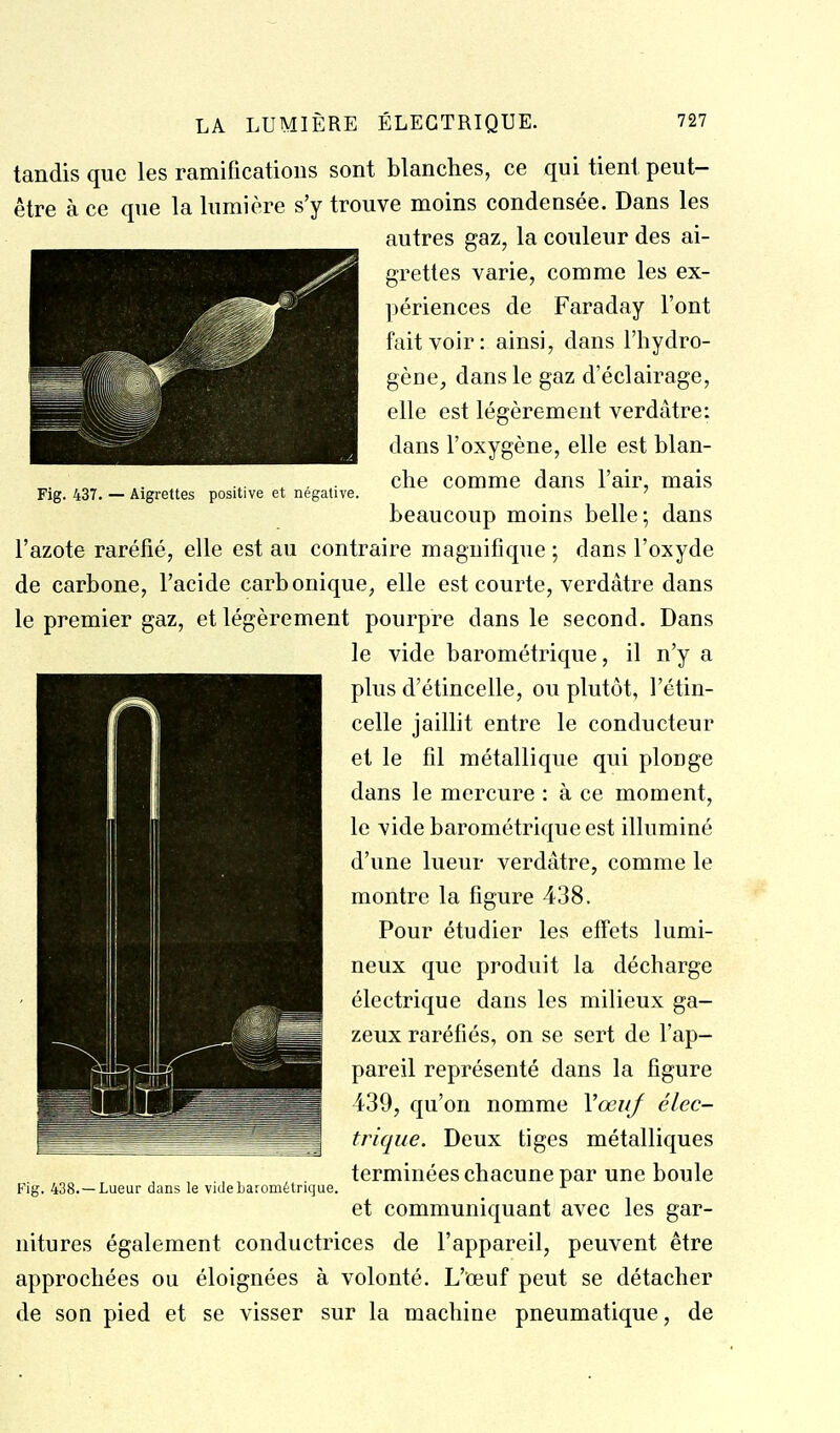 Fig. 437. — Aigrettes positive et négative. tandis que les ramifications sont blanches, ce qui tient peut- être à ce que la lumière s'y trouve moins condensée. Dans les autres gaz, la couleur des ai- grettes varie, comme les ex- périences de Faraday l'ont fait voir: ainsi, dans l'hydro- gène, dans le gaz d'éclairage, elle est légèrement verdâtre: dans l'oxygène, elle est blan- che comme dans l'air, mais beaucoup moins belle; dans l'azote raréfié, elle est au contraire magnifique ; dans l'oxyde de carbone, l'acide carbonique^ elle est courte, verdâtre dans le premier gaz, et légèrement pourpre dans le second. Dans le vide barométrique, il n'y a plus d'étincelle, ou plutôt, l'étin- celle jaillit entre le conducteur et le fil métallique qui plonge dans le mercure : à ce moment, le vide barométrique est illuminé d'une lueur verdâtre, comme le montre la figure 438. Pour étudier les effets lumi- neux que produit la décharge électrique dans les milieux ga- zeux raréfiés, on se sert de l'ap- pareil représenté dans la figure 439, qu'on nomme VœuJ élec- trique. Deux tiges métalliques terminées chacune par une boule et communiquant avec les gar- nitures également conductrices de l'appareil, peuvent être approchées ou éloignées à volonté. L'teuf peut se détacher de son pied et se visser sur la machine pneumatique, de Fig. 438.—Lueur dans le vide barométrique.