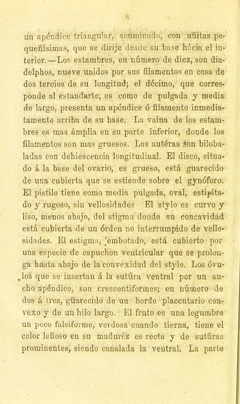 un apéndice triangular, acuminado, con uñitas pe- queñísimas, que se dirije desde su base hácia el in- terior.—Los estambres, en número de diez, son dia- delphos, nueve unidos por sus filamentos en cosa de dos tercios de su longitud; el décimo, que corres- ponde al estandarte, es como de pulgada y media de largo, presenta un apéndice ó filamento inmedia- tamente arriba de su base. La vaina de los estam- bres es mas ámplia en su parte inferior, donde los filamentos son mas gruesos. Las autéras Son biloba- ladas con dehiescencia longitudinal. El disco, situa- do á la base del ovario, es grueso, está guarecido de una cubierta que se estiende sobre el gynóforo. El pistilo tiene como media pulgada, oval, estilita- do y rugoso, sin vellosidades El stylo es curvo y liso, menos abajo, del stigma donde su concavidad está cubierta de un órden no interrumpido de vello- sidades. El estigma, ^embotado, está cubierto por una especie de capuchón ventricular que se prolon- ga basta abajo de la convexidad del stylo. Los ó vu- elos que se insertan á la sutura ventral por un an- cho apéndice, son crescentiformes; en número de dos á tres, guarecido de un borde placentario con- vexo y de un hilo largo. El fruto es una legumbre un poco falsiforme, verdosa cuando tierna, tiene el color leñoso en su madurez es recta y de suturas prominentes, siendo canalada la ventral. La parte