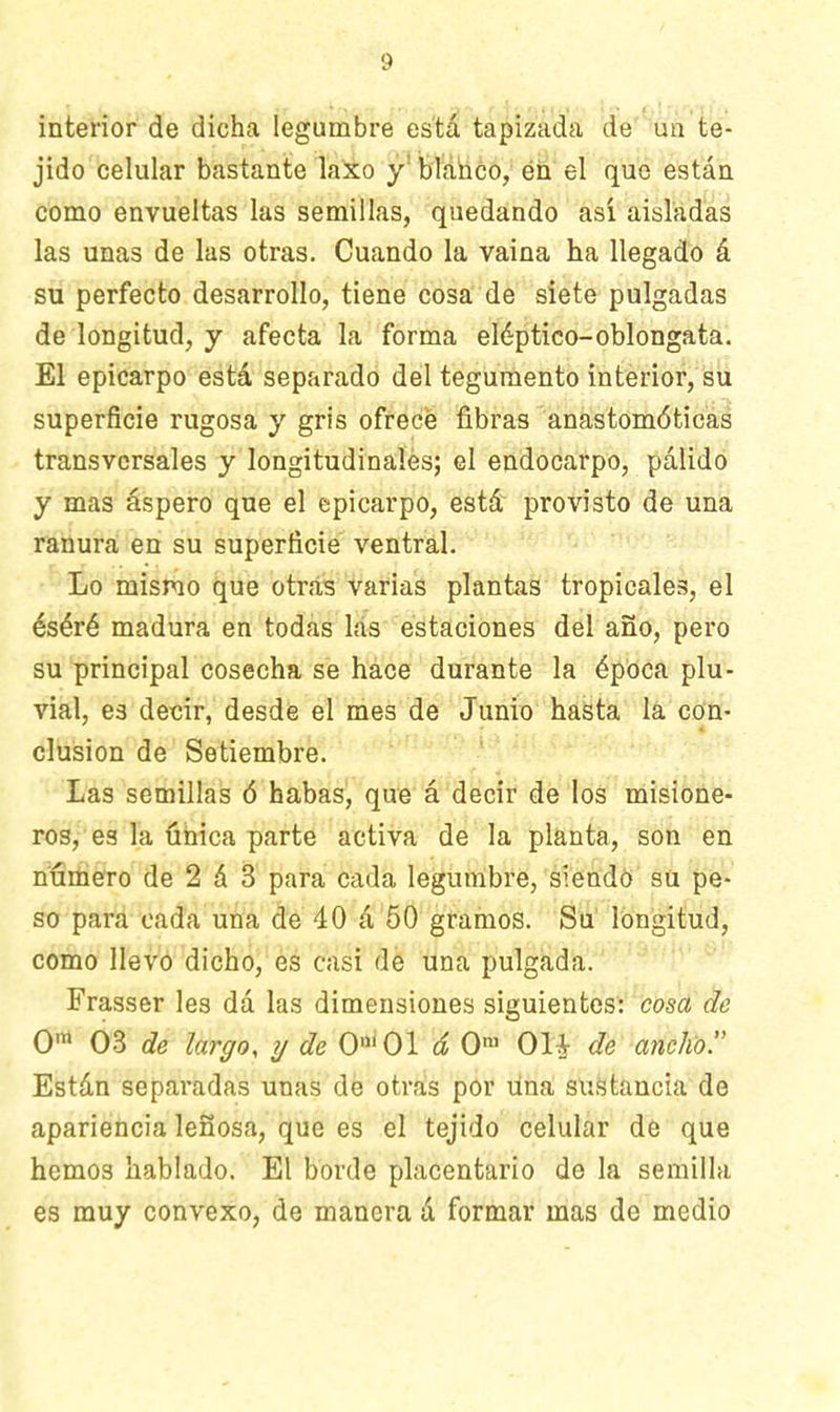 interior de dicha legumbre esta tapizada de un te- jido celular bastante laxo y blanco, en el que están como envueltas las semillas, quedando así aisladas las unas de las otras. Cuando la vaina ha llegado á su perfecto desarrollo, tiene cosa de siete pulgadas de longitud, y afecta la forma eléptico-oblongata. El epicarpo está separado del tegumento interior, su superficie rugosa y gris ofrece fibras anastomóticas transversales y longitudinales; el endocarpo, pálido y mas áspero que el epicarpo, está provisto de una ranura en su superficie ventral. Lo mismo que otras varias plantas tropicales, el éséré madura en todas las estaciones del año, pero su principal cosecha se hace durante la época plu- vial, es decir, desdé el mes de Junio hasta la con- clusion de Setiembre. Las semillas ó habas, que á decir de los misione- ros, es la única parte activa de la planta, son en numero de 2 á 3 para cada legumbre, siendo su pe- so para cada una de 40 á 50 gramos. Su longitud, como llevo dicho, es casi de una pulgada. Frasser les dá las dimensiones siguientes: cosa de Om 03 de largo, y de O 01 d Om Ú% de anchor Están separadas unas de otras por una sustancia de apariencia leñosa, que es el tejido celular de que hemos hablado. El borde placentario de la semilla es muy convexo, de manera á formar mas de medio