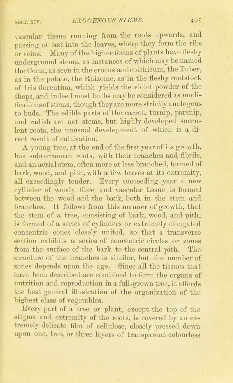 EXOGENOUS STEMS. vascular tissue running from the roots upwards, and passing- at last into the leaves, where they form the ribs or vein s. Many of the higher forms of plants have fleshy underground stems, as instances of which may be named the Corm, as seen in the crocus andcolchicum, the Tuber, as in the potato, the Ehizome, as in the fleshy rootstock of Iris florentina, which yields the violet powder of the shops, and indeed most bulbs may be considered as modi- fications of stems, though they are more strictly analogous to buds. ■ The edible parts of the carrot, turnip, parsnip, and radish are not stems, but highly developed succu- lent roots, the unusual development of which is a di- rect result of cultivation. A young tree, at the end of the first year of its gTOwth, has subterranean roots, with their branches and fibrils, and an aerial stem, often more or less branched, formed of bark, wood, and pith, with a few leaves at its extremity, all exceedingly tender. Every succeeding year a new cylinder of woody fibre and vascular tissue is formed bebween the wood and the bark, both in the stem and branches. It follows from this manner of grovrfch, that the stem of a tree, consisting of bark, wood, and pith, is formed of a series of cylinders or extremely elongated concentric cones closely united, so that a transverse section exhibits a series of concentric cu-cles or zones from the surface of the bark to the central pith. The structure of the branches is similar, but the number of zones depends upon the age. Since all the tissues that have been described-are combined to form the organs of nutrition and reproduction in a full-grown tree, it affords the best general illustration of the organization of the highest class of vegetables. Every part of a tree or plant, except the top of the stigma and extremity of the roots, is covered by an ex- tremely delicate film of cellulose, closely pressed down upon one, two, or three layers of transparent colourless