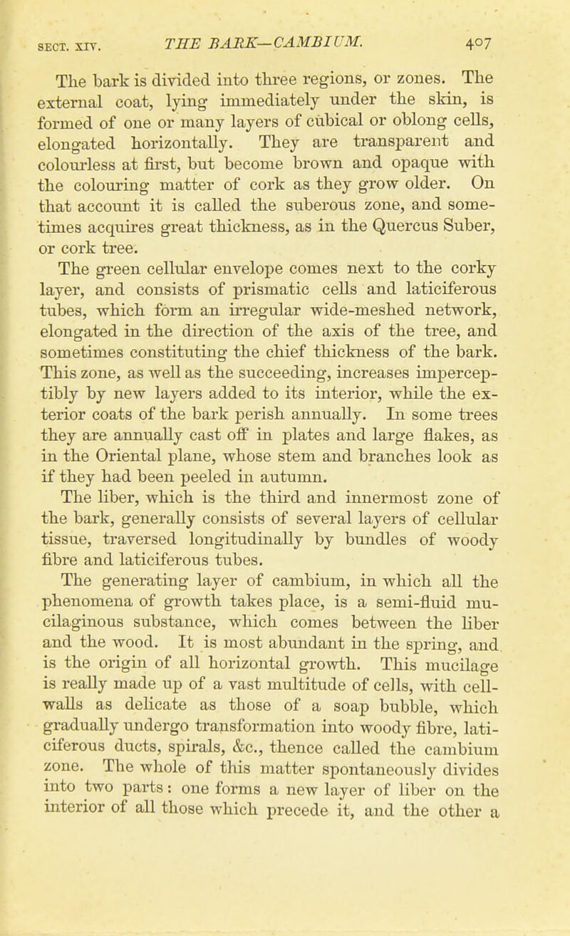 THE BARK—CAMBIUM. The bark is divided into three regions, or zones. The external coat, lying immediately under the skin, is formed of one or many layers of cubical or oblong cells, elongated horizontally. They are transparent and colourless at first, but become brown and opaque with the colouring matter of cork as they grow older. On that accoimt it is called the suberous zone, and some- times acquires great thickness, as in the Quercus Suber, or cork tree. The green cellular envelope comes next to the corky layer, and consists of prismatic cells and laticiferous tubes, which form an irregular wide-meshed network, elongated in the direction of the axis of the tree, and sometimes constituting the chief thickness of the bark. This zone, as well as the succeeding, increases impercep- tibly by new layers added to its interior, while the ex- terior coats of the bark perish annually. In some trees they are annually cast oflF in plates and large flakes, as in the Oriental plane, whose stem and branches look as if they had been peeled in autumn. The liber, which is the third and innermost zone of the bark, generally consists of several layers of cellular tissue, traversed longitudinally by bundles of woody fibre and laticiferous tubes. The generating layer of cambium, in which all the phenomena of growth takes place, is a semi-fluid mu- cilaginous substance, which comes between the liber and the wood. It is most abundant in the spring, and is the origin of all horizontal growth. This mucilage is reaUy made up of a vast multitude of cells, with cell- walls as delicate as those of a soap bubble, which gradually undergo transformation into woody fibre, lati- ciferous ducts, spirals, &c., thence called the cambium zone. The whole of this matter spontaneously divides into two parts: one forms a new layer of liber on the interior of all those which precede it, and the other a