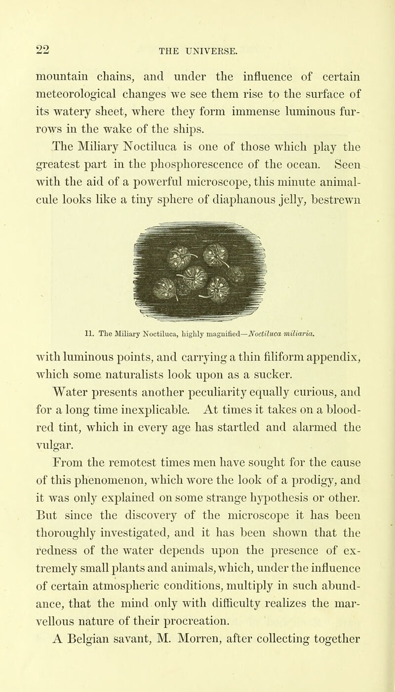 mountain chains, and under the influence of certain meteorological changes we see them rise to the surface of its watery sheet, where they form immense luminous fur- rows in the wake of the ships. The Miliary Noctiluca is one of those which play the greatest part in the phosphorescence of the ocean. Seen with the aid of a powerful microscope, this minute animal- cule looks like a tiny sphere of diaphanous jelly, bestrewn 11. The Sliliary Noctiluoa, highly magnified—Noctiluca miliaria. with luminous points, and carrying a thin filiform appendix, which some naturalists look upon as a sucker. Water presents another peculiarity equally curious, and for a long time inexplicable. At times it takes on a blood- red tint, which in every age has startled and alarmed the vulgar. From the remotest times men have sought for the cause of this phenomenon, which wore the look of a prodigy, and it was only explained on some strange hypothesis or other. But since the discovery of the microscope it has been thoroughly investigated, and it has been shown that the redness of the water depends upon the presence of ex- tremely small plants and animals, which, under the influence of certain atmospheric conditions, multiply in such abund- ance, that the mind only with difficulty realizes the mar- vellous nature of their procreation. A Belgian savant, M. Morren, after collecting together