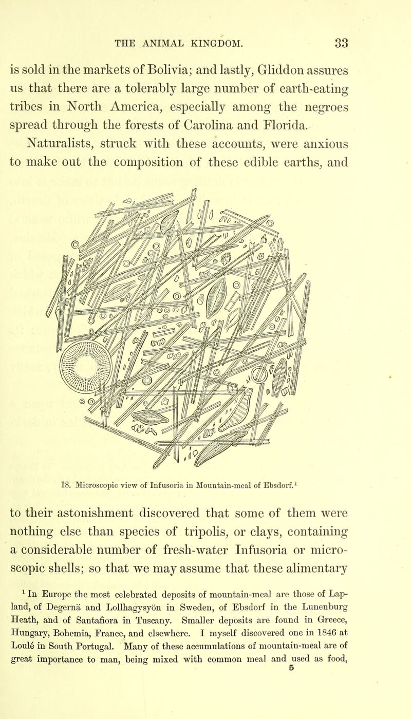 is sold in the markets of Bolivia; and lastly, Gliddon assures us that there are a tolerably large number of earth-eating tribes in North America, especially among the negroes spread through the forests of Carolina and Florida. Naturalists, struck with these accounts, were anxious to make out the composition of these edible earths, and 18. Microscopic view of Infusoria in Mountain-meal of Ebsdorf.^ to their astonishment discovered that some of them were nothing else than species of tripolis, or clays, containing a considerable number of fresh-water Infusoria or micro- scopic shells; so that we may assume that these alimentary ^ In Europe the most celebrated deposits of mountain-meal are those of Lap- land, of Degerna and Lollhagysyon in Sweden, of Ebsdorf in the Lunenburg Heath, and of Santafiora in Tuscany. Smaller deposits are found in Greece, Hungary, Bohemia, France, and elsewhere. I myself discovered one in 1846 at Loulé in South Portugal. Many of these accumulations of mountain-meal are of great importance to man, being mixed with common meal and used as food.