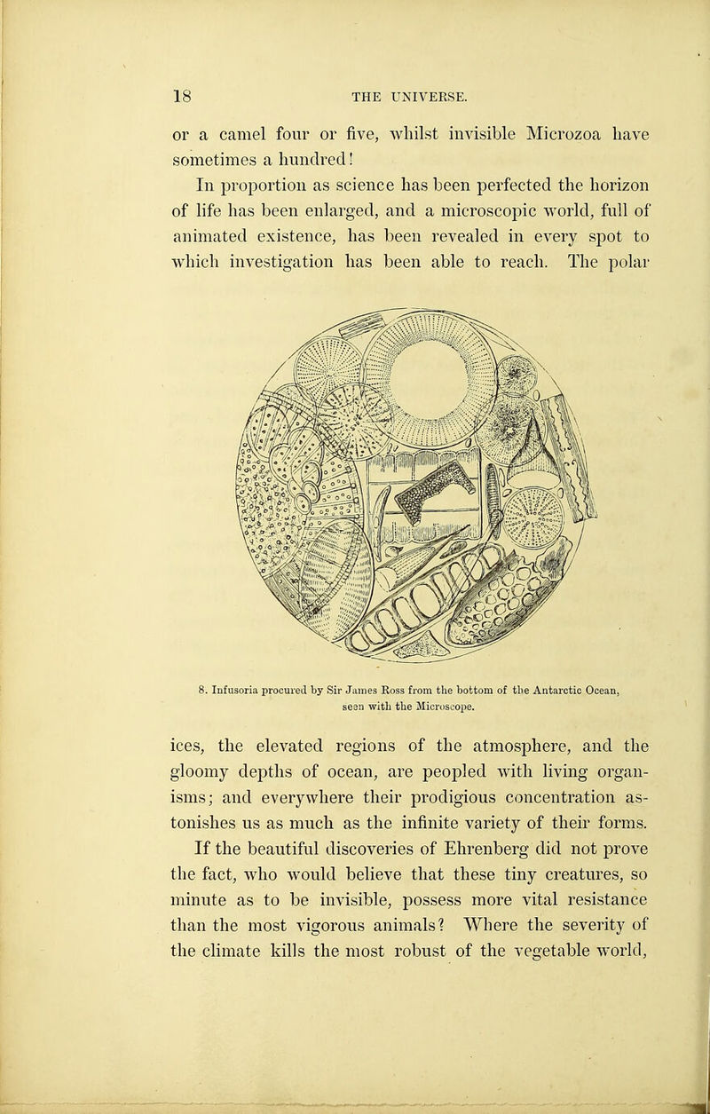 or a camel four or five, whilst invisible Microzoa have sometimes a hundred ! In proportion as science has been perfected the horizon of life has been enlarged, and a microscopic world, full of animated existence, has been revealed in every spot to which investigation has been able to reach. The polar 8. Infusoria procured by Sir James Ross from the bottom of the Antarctic Ocean, seen with tlie Microscope. ices, the elevated regions of the atmosphere, and the gloomy depths of ocean, are peopled with living organ- isms; and everywhere their prodigious concentration as- tonishes us as much as the infinite variety of their forms. If the beautiful discoveries of Ehrenberg did not prove the fact, who would believe that these tiny creatures, so minute as to be invisible, possess more vital resistance than the most vigorous animals'? Where the severity of the climate kills the most robust of the vegetable world,