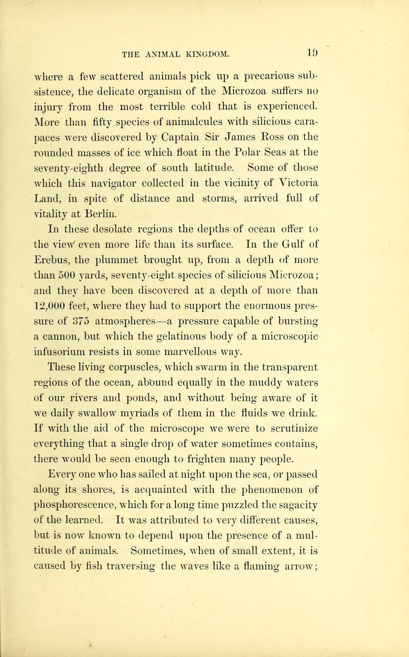 where a few scattered animals pick up a precarious sub- sistence, the delicate organism of the Microzoa suffers no injury from the most terrible cold that is experienced. More than fifty species of animalcules with silicious cara- paces were discovered by Captain Sir James Ross on the rounded masses of ice which float in the Polar Seas at the seventy-eighth degree of south latitude. Some of those which this navigator collected in the vicinity of Victoria Land, in spite of distance and storms, arrived full of vitality at Berlin. In these desolate regions the depths of ocean offer to the view even more life than its surface. In the Gulf of Erebus, the plummet brought up, from a depth of more than 500 yards, seventy-eight species of silicious Microzoa; and they have been discovered at a depth of more than 12,000 feet, where they had to support the enormous pres- sure of 375 atmospheres—a pressure capable of bursting a cannon, but which the gelatinous body of a microscopic infusorium resists in some marvellous way. These living corpuscles, which swarm in the transparent regions of the ocean, abound equally in the muddy waters of our rivers and ponds, and without being aware of it we daily swallow myriads of them in the fluids we drink. If with the aid of the microscope we were to scrutinize everything that a single drop of water sometimes contains, there would be seen enough to frighten many people. Every one who has sailed at night upon the sea, or passed along its shores, is acquainted with the phenomenon of phosphorescence, which for a long time puzzled the sagacity of the learned. It was attributed to very different causes, but is now known to depend upon the presence of a mul- titude of animals. Sometimes, when of small extent, it is caused by fish traversing the waves like a flaming arrow;