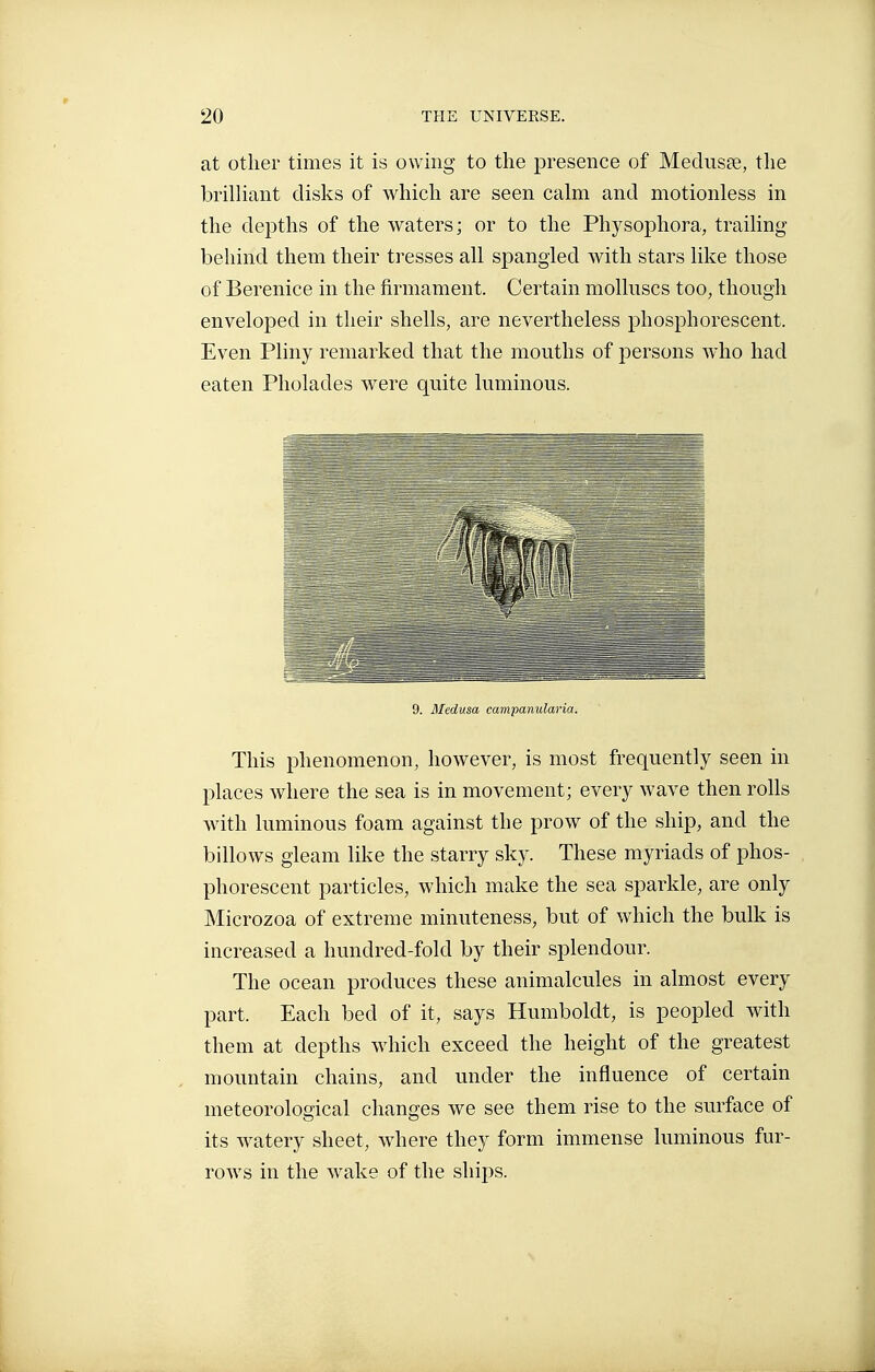 at other times it is owing to the presence of Medusae, the brilliant disks of which are seen calm and motionless in the depths of the waters; or to the Physophora, trailing behind them their tresses all spangled with stars like those of Berenice in the firmament. Certain molluscs too, though enveloped in their shells, are nevertheless phosphorescent. Even Pliny remarked that the mouths of persons who had eaten Pholades were quite luminous. 9. Medusa campanularia. This phenomenon, however, is most frequently seen in places where the sea is in movement; every Avave then rolls with luminous foam against the prow of the ship, and the billows gleam like the starry sky. These myriads of phos- phorescent particles, which make the sea sparkle, are only Microzoa of extreme minuteness, but of which the bulk is increased a hundred-fold by their splendour. The ocean produces these animalcules in almost every part. Each bed of it, says Humboldt, is peopled with them at depths which exceed the height of the greatest mountain chains, and under the influence of certain meteorological changes we see them rise to the surface of its watery sheet, where they form immense luminous fur- rows in the wake of the ships.