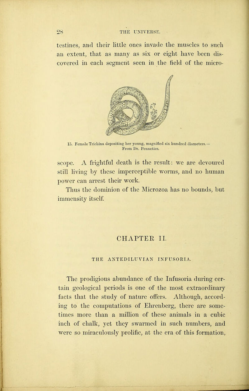 testines, and their little ones invade the muscles to such an extent, that as many as six or eight have been dis- covered in each segment seen in the field of the micro- is. Female Trichina depositing her young, magnified six hundred diameters.— scope. A frightful death is the result: we are devoured still living by these imperceptible worms, and no human power can arrest their work. Thus the dominion of the Microzoa has no bounds, but immensity itself. The prodigious abundance of the Infusoria during cer- tain geological periods is one of the most extraordinary facts that the study of nature offers. Although, accord- ing to the computations of Ehrenberg, there are some- times more than a million of these animals in a cubic inch of chalk, yet they swarmed in such numbers, and were so miraculously prolific, at the era of this formation. From Dr. Pennetier. CHAPTEE II. THE ANTEDILUVIAN INFUSORIA.