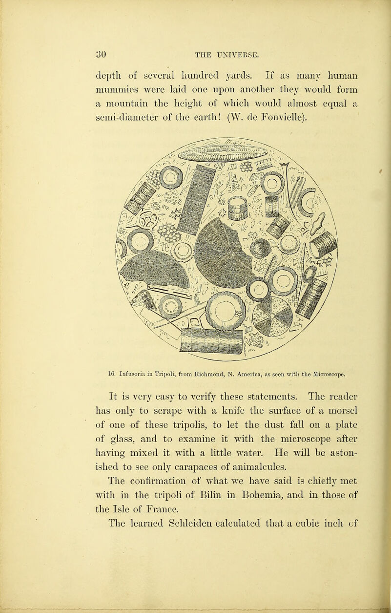 depth of several liundred 3'ards. If as many human mummies were laid one upon another they would form a mountain the height of which would almost equal a semi-diameter of the earth ! (W. de Fonvielle). IG. Infusoria in Tripoli, from Eicliraond, N. America, as seen with tlie Microscope. It is very easy to verify these statements. The reader has only to scrape with a knife the surface of a morsel of one of these tripolis, to let the dust fall on a plate of glass, and to examine it with the microscope after having mixed it with a little water. He will be aston- ished to see only carapaces of animalcules. The confirmation of what we have said is chiefly met with in the tripoli of Bilin in Bohemia, and in those of the Isle of France. The learned Sclileiden calculated that a cubic inch of