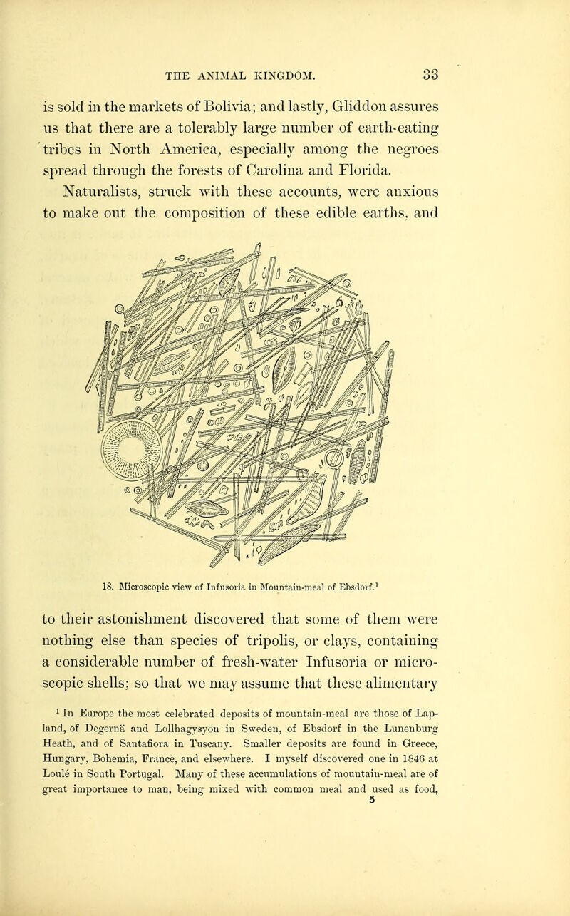 is sold in the markets of Bolivia; and lastly, Gliddon assures lis that there are a tolerably large number of earth-eating tribes in North America, especially among the negroes spread through the forests of Carolina and Florida. Naturalists, struck with these accounts, were anxious to make out the composition of these edible earths, and 18. Microscopic view of Infusoria in Mountain-menl of Ebsdorf. to their astonishment discovered that some of them were nothing else than species of tripolis, or clays, containing a considerable number of fresh-water Infusoria or micro- scopic shells; so that we may assume that these alimentary 1 In Europe the most celebrated deposits of mouutain-meal are those of Lap- land, of Degernâ and Lollhagysyou in Sweden, of Ebsdorf in the Lunenburg Heath, and of Santafiora in Tuscany. Smaller deposits are found in Greece, Hungary, Bohemia, France, and elsewhere. I myself discovered one in 1846 at Loulé in South Portugal. Many of these accumulations of mountaiu-meal are of great importance to man, being mixed with common meal and used as food, 5