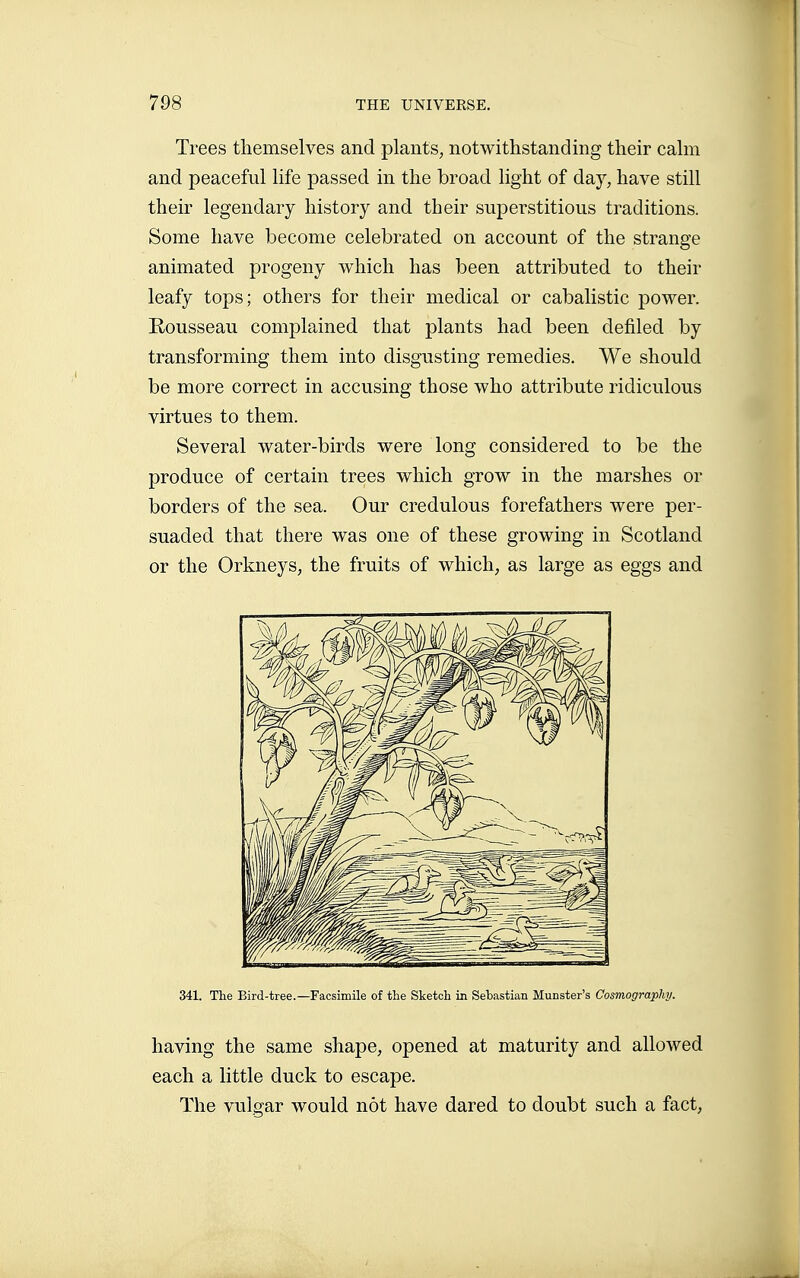 Trees themselves and plants, notwithstanding their calm and peaceful life passed in the broad light of daj, have still their legendary history and their superstitious traditions. Some have become celebrated on account of the strange animated progeny which has been attributed to their leafy tops; others for their medical or cabalistic power. Rousseau complained that plants had been defiled by transforming them into disgusting remedies. We should be more correct in accusing those who attribute ridiculous virtues to them. Several water-birds were long considered to be the produce of certain trees which grow in the marshes or borders of the sea. Our credulous forefathers were per- suaded that there was one of these growing in Scotland or the Orkneys, the fruits of which, as large as eggs and 341. The Bird-tree.—Facsimile of the Sketch in Sebastian Munster's Cosmography. having the same shape, opened at maturity and allowed each a little duck to escape. The vulgar would not have dared to doubt such a fact.