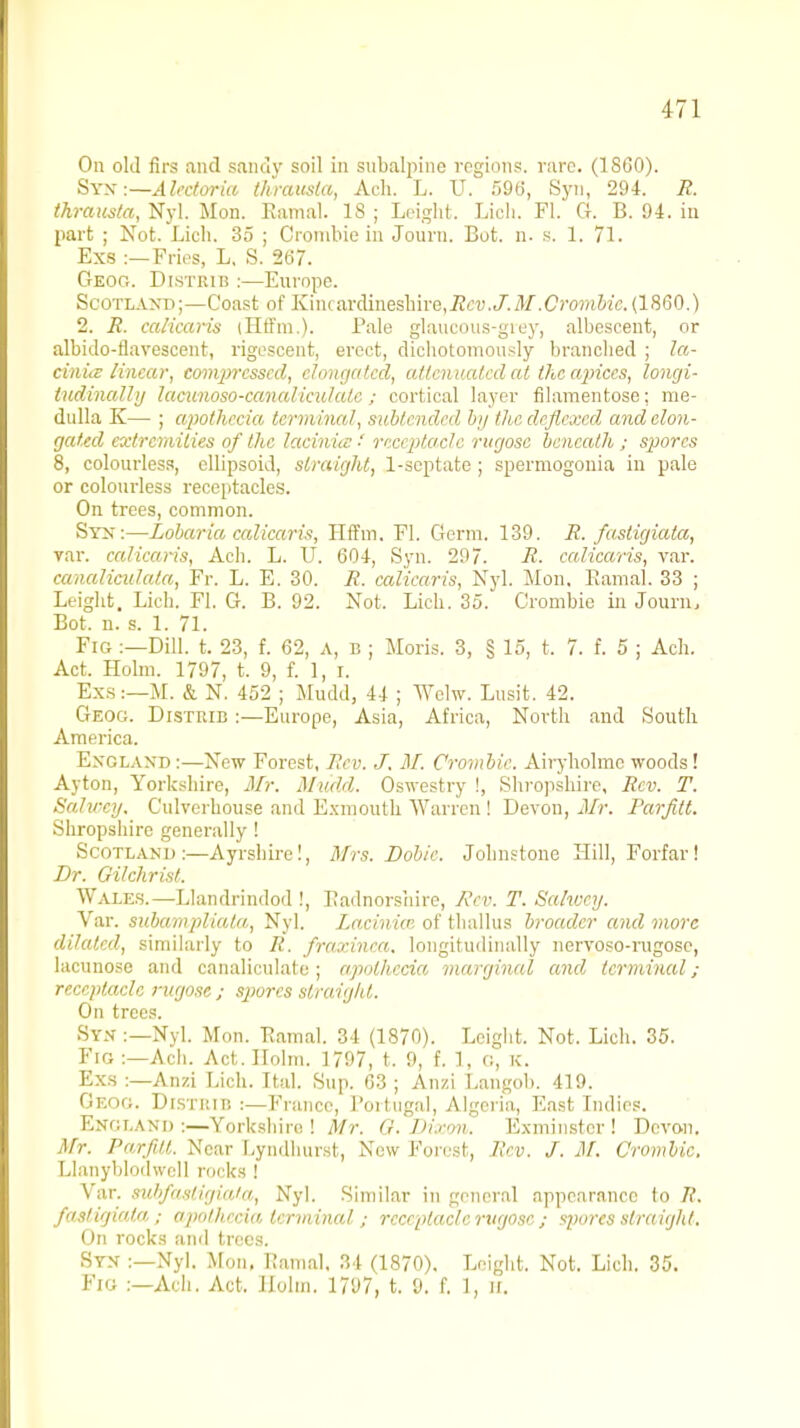 On old firs and sand}' soil in subalpine regions, rare. (I860). Sy.v:—Alectoria thrausta, Ach. L. U. 596, Syn, 294. R. thrausta, Nyl. Mon. Eamal. 18 ; Leiglit. Lich. Fl. G. B. 94. in part ; Not. lich. 35 ; Crombiein Joum. Bot. n. s. 1. 71. Exs :—Fries, L, S. 267. Geog. Distrib :—Europe. Scotland;—Coast of Kiiuardinesliire,ift,D.J'./¥.C'),o«iWc. (1860.) 2. R. calicaris iHffm.). Pale glaucous-grey, albescent, or albido-flavescent, rigescent, erect, dichotomously branched ; la- cinus linear, compressed, elongated, attenuated at the cqriccs, longi- tudinally lacunoso-canalicu/ale; cortical layer filamentose; me- dulla K— ; apothecia terminal, subtended by the eleflexed and elon- gated extremities of the laciwits ■' receptacle rugose beneath; spores 8, colourless, ellipsoid, straight, 1-septate ; spermogonia in pale or colourless receptacles. On trees, common. Syn:—Lobaria calicaris, Hffm. Fl. Germ. 139. R. fastigiata, rar. calicaris, Ach. L. U. 604, Syn. 297. R. calicaris, var. canaliculata, Fr. L. E. 30. R. calicaris, Nyl. Mon, Ramal. 33 ; Leight. Lich. Fl. G. B. 92. Not. Lich. 35. Crombie in Journ, Bot. n. s. 1. 71. Fig :—Dill. t. 23, f. 62, A, b ; Moris. 3, § 15, t. 7. f. 5 ; Ach. Act. Holm. 1797, t. 9, f. 1, r. Exs:—M. & N. 452 ; Mudd, 44 ; Welw. Lusit. 42. Geog. Distrib :—Europe, Asia, Africa, North and South America. England:—New Forest, Rev. J. M. Crombie. Airyholme woods! Ayton, Yorkshire, Mr. Mudd,. Oswestry !, Shropshire, Rev. T. Salwey. Culverhouse and Exmouth Warren ! Devon, Mr. Parfilt. Shropshire generally ! Scotland :—Ayrshire!, Mrs. Dobie. Johnstone Hill, Forfar! Dr. Gilchrist. Wales.—Llandrindod !, Radnorshire, Hcv. T. Salwey. Var. subampliata, Nyl. Laciniir, of thallus broader and more dilated, similarly to R. fraxinea. longitudinally nervoso-rugosc, lacunose and canaliculate; apoihecia marginal and terminal; receptacle rugose; spores straight. On trees. Syn :—Nyl. Mon. Eamal. 34 (1870). Leight. Not. Lich. 35. Fig:—Ach. Act. Holm. 1797, t. 9, f. 1, 0, K. Exs :—Anzi Lich. Ital. Sup. 63 ; Anzi Langob. 419. Geog. Distrib :—France, Portugal, Algeria, East Indies. England :—Yorkshire ! Mr. G. Dixon. Exminster ! Devon. Mr. Parfilt. Near Lyndhurst, New Forest, Ecv. J. M. Crombie, Llanyblodwell rocks! Var. subfastigiaia, Nyl. Similar in general appearance to R. fastigiata,; apoihecia terminal; receptacle rugose ; spores straight. On rocks and trees. Syn :—Nyl. Mon. Ramal, 34 (1870). Leight. Not. Lich. 35. Fig :—Ach. Act. Holm. 1797, t. 9. f. 1, if.