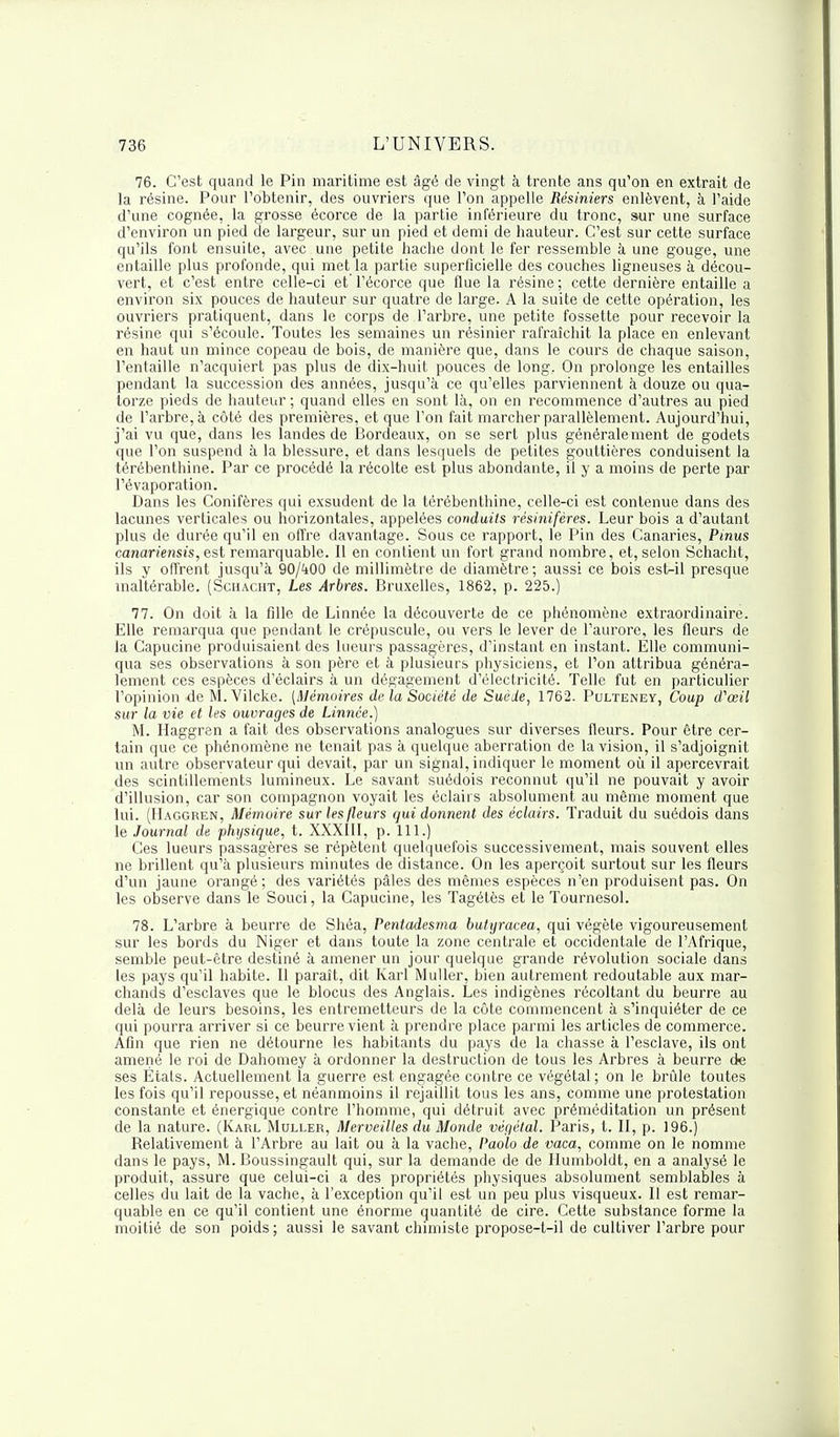 76. C'est quand le Pin maritime est âgé de vingt à trente ans qu'on en extrait de la résine. Pour l'obtenir, des ouvriers que l'on appelle Résiniers enlèvent, à l'aide d'une cognée, la grosse écorce de la partie inférieure du tronc, sur une surface d'environ un pied de largeur, sur un pied et demi de hauteur. C'est sur cette surface qu'ils font ensuite, avec une petite hache dont le fer ressemble à une gouge, une entaille plus profonde, qui met la partie superficielle des couches ligneuses à décou- vert, et c'est entre celle-ci et' l'écorce que flue la résine ; cette dernière entaille a environ six pouces de hauteur sur quatre de large. A la suite de cette opération, les ouvriers pratiquent, dans le corps de l'arbre, une petite fossette pour recevoir la résine qui s'écoule. Toutes les semaines un résinier rafraîchit la place en enlevant en haut un mince copeau de bois, de manière que, dans le cours de chaque saison, l'entaille n'acquiert pas plus de dix-huit pouces de long. On prolonge les entailles pendant la succession des années, jusqu'à ce qu'elles parviennent à douze ou qua- torze pieds de hauteur ; quand elles en sont là, on en recommence d'autres au pied de l'arbre, à côté des premières, et que l'on fait marcher parallèlement. Aujourd'hui, j'ai vu que, dans les landes de Bordeaux, on se sert plus généralement de godets que l'on suspend à la blessure, et dans lesquels de petites gouttières conduisent la térébenthine. Par ce procédé la récolte est plus abondante, il y a moins de perte par l'évaporation. Dans les Conifères qui exsudent de la térébenthine, celle-ci est contenue dans des lacunes verticales ou horizontales, appelées conduits résinifères. Leur bois a d'autant plus de durée qu'il en offre davantage. Sous ce rapport, le Pin des Canaries, Pinus canariensis,est remarquable. Il en contient un fort grand nombre, et, selon Schacht, ils y offrent jusqu'à 90/400 de millimètre de diamètre; aussi ce bois est-il presque inaltérable. (Schacht, Les Arbres. Bruxelles, 1862, p. 225.) 77. On doit à la fille de Linnée la découverte de ce phénomène extraordinaire. Elle remarqua que pendant le crépuscule, ou vers le lever de l'aurore, les fleurs de la Capucine produisaient des lueurs passagères, d'instant en instant. Elle communi- qua ses observations à son père et à plusieurs physiciens, et l'on attribua généra- lement ces espèces d'éclairs à un dégagement d'électricité. Telle fut en particulier l'opinion de M.Vilcke. [Mémoires de la Société de Suède, 1762. Puxteney, Coup d'oeil sur la vie et les ouvrages de Linnée.) M. Haggren a fait des observations analogues sur diverses fleurs. Pour être cer- tain que ce phénomène ne tenait pas à quelque aberration de la vision, il s'adjoignit un autre observateur qui devait, par un signal, indiquer le moment où il apercevrait des scintillements lumineux. Le savant suédois reconnut qu'il ne pouvait y avoir d'illusion, car son compagnon voyait les éclairs absolument au même moment que lui. (Haggren, Mémoire sur les fleurs qui donnent des éclairs. Traduit du suédois dans le Journal de physique, t. XXXIII, p. 111.) Ces lueurs passagères se répètent quelquefois successivement, mais souvent elles ne brillent qu'à plusieurs minutes de distance. On les aperçoit surtout sur les fleurs d'un jaune orangé; des variétés pâles des mêmes espèces n'en produisent pas. On les observe dans le Souci, la Capucine, les Tagétès et le Tournesol. 78. L'arbre à beurre de Shéa, Pentadesma butyracea, qui végète vigoureusement sur les bords du Niger et dans toute la zone centrale et occidentale de l'Afrique, semble peut-être destiné à amener un jour quelque grande révolution sociale dans les pays qu'il habite. Il paraît, dit Karl Muller, bien autrement redoutable aux mar- chands d'esclaves que le blocus des Anglais. Les indigènes récoltant du beurre au delà de leurs besoins, les entremetteurs de la côte commencent à s'inquiéter de ce qui pourra arriver si ce beurre vient à prendre place parmi les articles de commerce. Afin que rien ne détourne les habitants du pays de la chasse à l'esclave, ils ont amené le roi de Dahomey à ordonner la destruction de tous les Arbres à beurre de ses États. Actuellement la guerre est engagée contre ce végétal; on le brûle toutes les fois qu'il repousse, et néanmoins il rejaillit tous les ans, comme une protestation constante et énergique contre l'homme, qui détruit avec préméditation un présent de la nature. (Karl Muller, Merveilles du Monde végétal. Paris, t. II, p. 196.) Relativement à l'Arbre au lait ou à la vache, Paolo de vaca, comme on le nomme dans le pays, M. Boussingault qui, sur la demande de de Ilumboldt, en a analysé le produit, assure que celui-ci a des propriétés physiques absolument semblables à celles du lait de la vache, à l'exception qu'il est un peu plus visqueux. Il est remar- quable en ce qu'il contient une énorme quantité de cire. Cette substance forme la moitié de son poids; aussi le savant chimiste propose-t-il de cultiver l'arbre pour