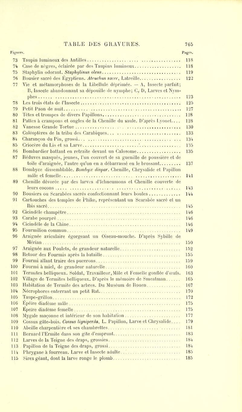 Figures. Page*. 73 Taupin lumineux des Antilles 118 74 Case de nègres, éclairée par des Taupins lumineux 118 75 Staphylin odorant. Staphylinus olens 119 76 Bousier sacré des Egyptiens. Ateuchus sacer, Latreille 122 77 Vie et métamorphoses de la Libellule déprimée. — A, Insecte parfait; B, Insecte abandonnant sa dépouille de nymphe; C, D, Larves et Nym- phes 123 78 Les trois états de l'Insecte 125 79 Petit Paon de nuit 127 80 Têtes et trompes de divers Papillons 128 81 Pattes à crampons et ongles de la Chenille du saule. D'après Lyonet... . 128 82 Vanesse Grande Tortue . 130 83 Coléoptères de la tribu des Carabiques 133 84 Charançon du Pin, grossi 134 85 Criocère du Lis et sa Larve ' 135 86 Bombardier battant en retraite devant un Calosome 135 87 Béduves masqués, jeunes, l'un couvert de sa guenille de poussière et de toile d'araignée, l'autre qu'on en a débarrassé en le brossant 137 88 Bombyce dissemblable. Bombyx dispar. Chenille, Chrysalide et Papillon mâle et femelle 141 89 Chenille dévorée par des larves d'ichneumons et Chenille couverte de leurs cocons 143 90 Bousiers ou Scarabées sacrés confectionnant leurs boules 144 91 Cartouches des temples de Philœ, représentant un Scarabée sacré et un Ibis sacré 145 92 Cicindèle champêtre 146 93 Carabe pourpré 146 94 Cicindèle de la Chine 146 95 Fourmilion commun 149 96 Araignée aviculaire égorgeant un Oiseau-mouche. D'après Sybille de Mérian 150 97 Araignée aux Poulets, de grandeur naturelle 152 98 Betour des Fourmis après la bataille 155 99 Fourmi allant traire des pucerons 159 100 Fourmi à miel, de grandeur naturelle 160 101 Termites belliqueux. Soldat, Travailleur, Mâle et Femelle gonflée d'œufs. 163 102 Village de Termites belliqueux. D'après le mémoire de Smeatman 165 103 Habitation de Termite des arbres. Du Muséum de Bouen 167 104 Nécrophores enterrant un petit Bat 170 105 Taupe-grillon 172 106 Epéïre diadème mâle 175 107 Epeïre diadème femelle 175 108 Mygale maçonne et intérieur de son habitation 177 109 Cossus gâte-bois. Cossus Ugniperda, L. Papillon, Larve et Chrysalide.... 179 110 Abeille charpentière et ses chambrettes 181 111 Bernard l'Ermite dans son gite d'emprunt 183 112 Larves de la Teigne des draps, grossies 184 113 Papillon de la Teigne des draps, grossi 184 114 Phrygane à fourreau. Larve et Insecte adulte 185 115 Sirex géant, dont la larve ronge le plomb 185