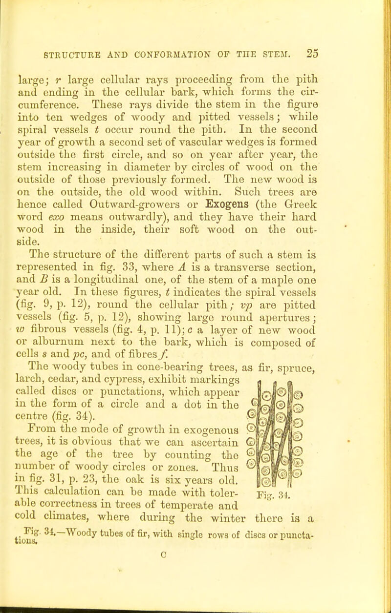 large; r large cellular rays proceeding from the pith and ending in the cellular bark, which forms the cir- cumference. These rays divide the stem in the figure into ten wedges of woody and pitted vessels; while spiral vessels t occur round the pith. In the second year of growth a second set of vascular wedges is formed outside the fii-st circle, and so on year after year, the stem increasing in diameter by circles of wood on the outside of those previously formed. The new wood is on the outside, the old wood within. Such trees are hence called Outward-growers or Exogens (the Greek word exo means outwardly), and they have their hard wood in the inside, their soft wood on the out- side. The structure of the different parts of such a stem is represented in fig. 33, where ^ is a transverse section, and i? is a longitudinal one, of the stem of a maple one year old. In these figures, t indicates the spiral vessels (fig. 9, p. 12), round the cellular pith; u^j are pitted vessels (fig. 5, p. 12), showing large round apertures; 10 fibrous vessels (fig. 4, p. 11); c a layer of new wood or alburnum next to the bark, which is composed of cells s and pc, and of fibres f. The woody tubes in cone-bearing trees, as fir, spruce, larch, cedar, and cypress, exhibit markings called discs or punctations, which appear in the form of a circle and a dot in the centre (fig. 34). From the mode of growth in exogenous trees, it is obvious that we can ascertain the age of the tree by counting the number of woody circles or zones. Thus in fig. 31, p. 23, the oak is six years old. This calculation can be made with toler- able correctness in trees of temperate and cold climates, where during the winter there is a Fig. 34.—Woody tubes of fir, with single rows of discs or puncta-