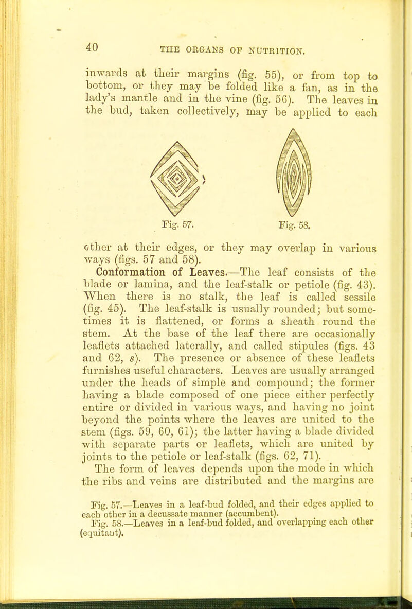 inwards at their margins (fig. 55), or from top to bottom, or they may be folded like a fan, as in the lady's mantle and in the vine (fig. 5G). The leaves in the bud, taken collectively, may be applied to each Fig. 57. Fig. 58. other at their edges, or they may overlap in various ways (figs. 57 and 58). Conformation of Leaves.—The leaf consists of the blade or lamina, and the leaf-stalk or petiole (fig. 43). When there is no stalk, the leaf is called sessile (fig. 45). The leaf-stalk is usually rounded; but some- times it is flattened, or forms a sheath round the stem. At the base of the leaf there are occasionally leaflets attached laterally, and called stipules (figs. 43 and 62, s). The presence or absence of these leaflets furnishes useful characters. Leaves are usually arranged under the heads of simple and compound; the former having a blade composed of one piece either perfectly entire or divided in various ways, and having no joint beyond the points where the leaves are united to the stem (figs. 59, 60, 61); the hitter having a blade divided with separate parts or leaflets, which are united by joints to the petiole or leaf-stalk (figs. 62, 71). The form of leaves depends upon the mode in which the ribs and veins are distributed and the margins arc Fig. 57.—Leaves in a leaf-bud folded, and tlieir edges applied to each other in a decussate manner (accumbcnt). Fig. 58.—Leaves in a leaf-bud folded, and overlapping each other (ocjuitaiit).