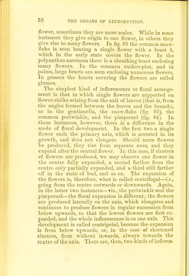 68 flower, sometimes they are mere scales. Wliile in some instances they give origin to one flower, in others they give rise to many flowers. In fig. 85 the common snow- flake is seen bearing a single flower Avith a bract b, which in the early state covers the flower. In the polyanthus-narcissus there is a sheathing bract enclosing many flowers. In the common cuckoo-pint, and in palms, large bracts are seen enclosing numerous flowers. In grasses the bracts covering the flowers are called glumes. The simplest kind of inflorescence or floral arrange- ment is that in which single flowers are supjiorted on flower-stalks arising from the axil of leaves (that is, from the angles formed between the leaves and the branch), as in the gentianella, the snow-flake (fig. 85), the common periwinkle, and tlie pimpernel (fig. 84). In these instances, however, there is a difli'erence in the mode of floral development. In the first two a single flower ends the primary axis, which is arrested in its gTowth, and does not elongate. Should more flowers be produced, they rise from separate axes, and they expand after the central flower. In this case, if clusters of flowers are produced, we may observe one flower in the centre fully expanded, a second fai'ther from the centre only partially expanded, and a thii'd stUl farther off in the state of bud, and so on. The expansion of the flowers is, therefore, what is called centrifugal—i.e., going from the centre outwards or downwards. Again, in the latter two instances—riz., the periwinkle and the jnmpernel—the floral expansion is different; the flowers are produced laterally on the axis, which elongates and continues to produce flowers in regular succession from below iipwards, so that the lowest flowers are first ex- panded, and the whole inflorescence is on one axis. This development is called centripetal, because the expansion is from below upwards, or, in the case of shortened clusters, from without inwards, always towards the geiitre of tjie ajcis, There are, then, two kinds of inflores-